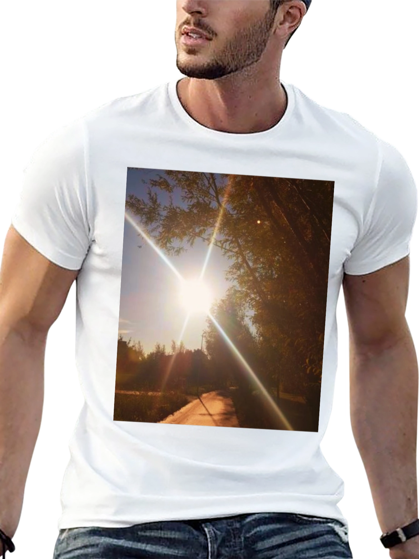Sunlit Path Graphic Tee