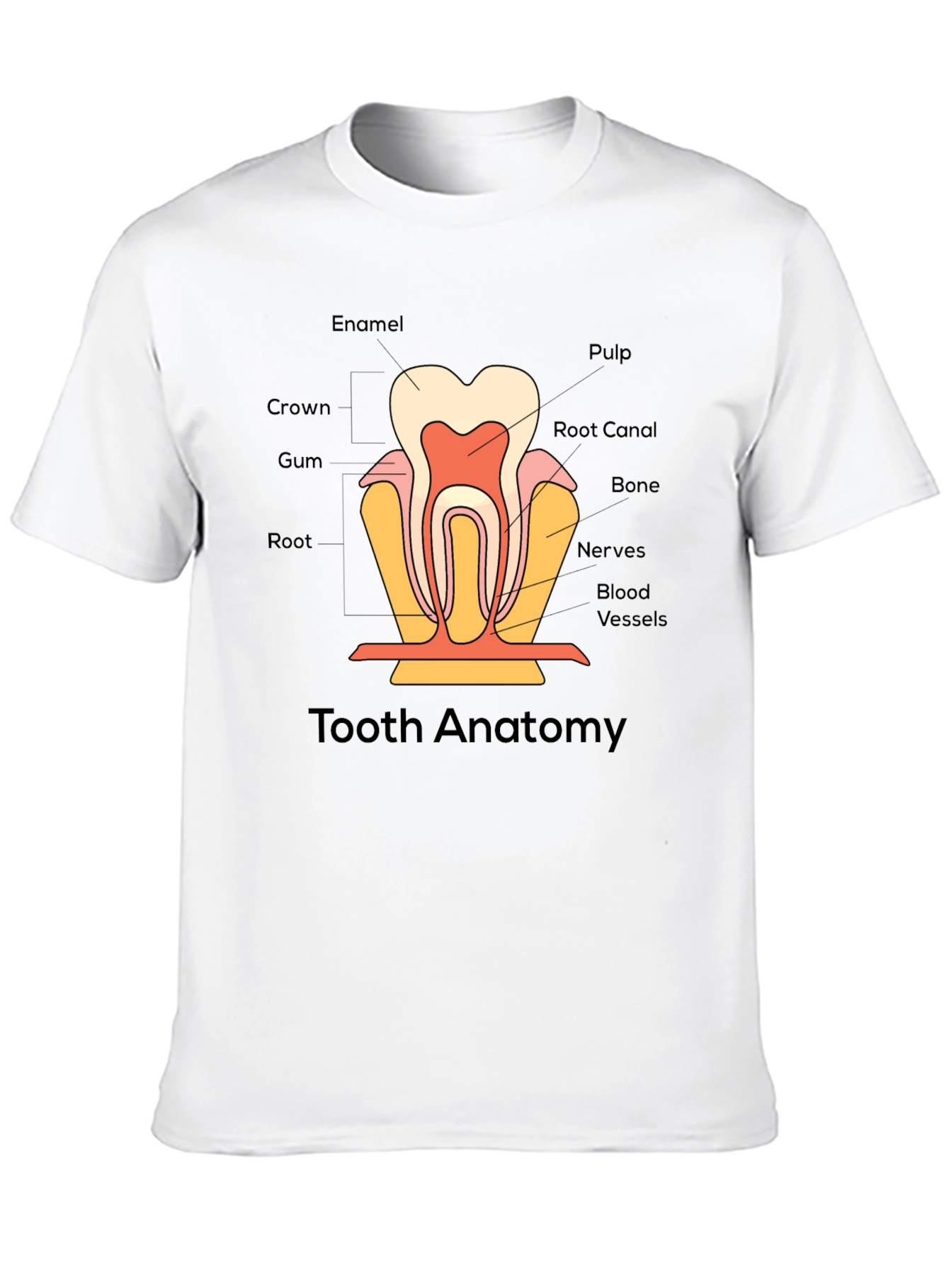 Tooth Anatomy Graphic T-Shirt