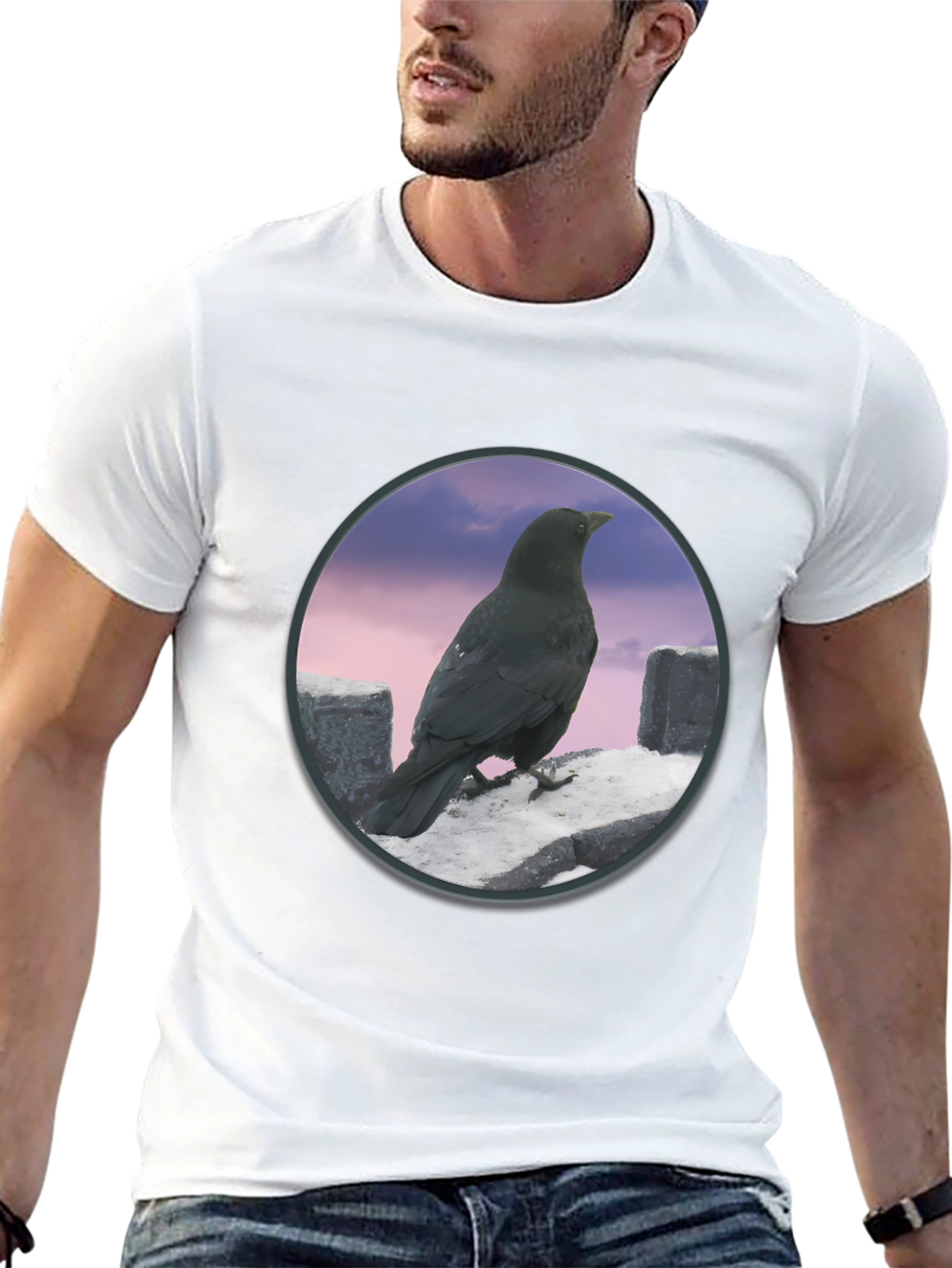 Raven on The Wall T-Shirt