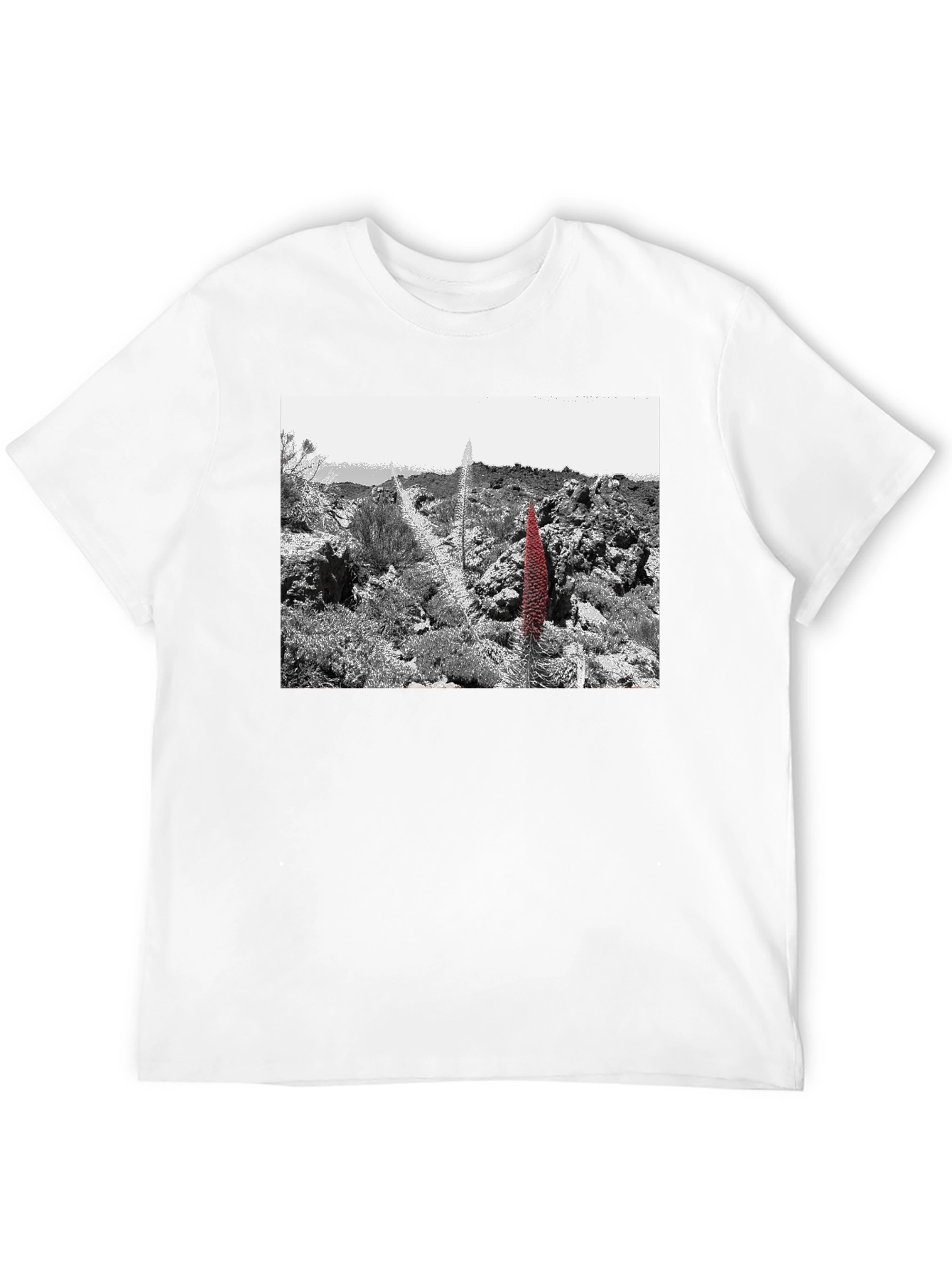 Unique Graphic Tee - Desert Floral Design