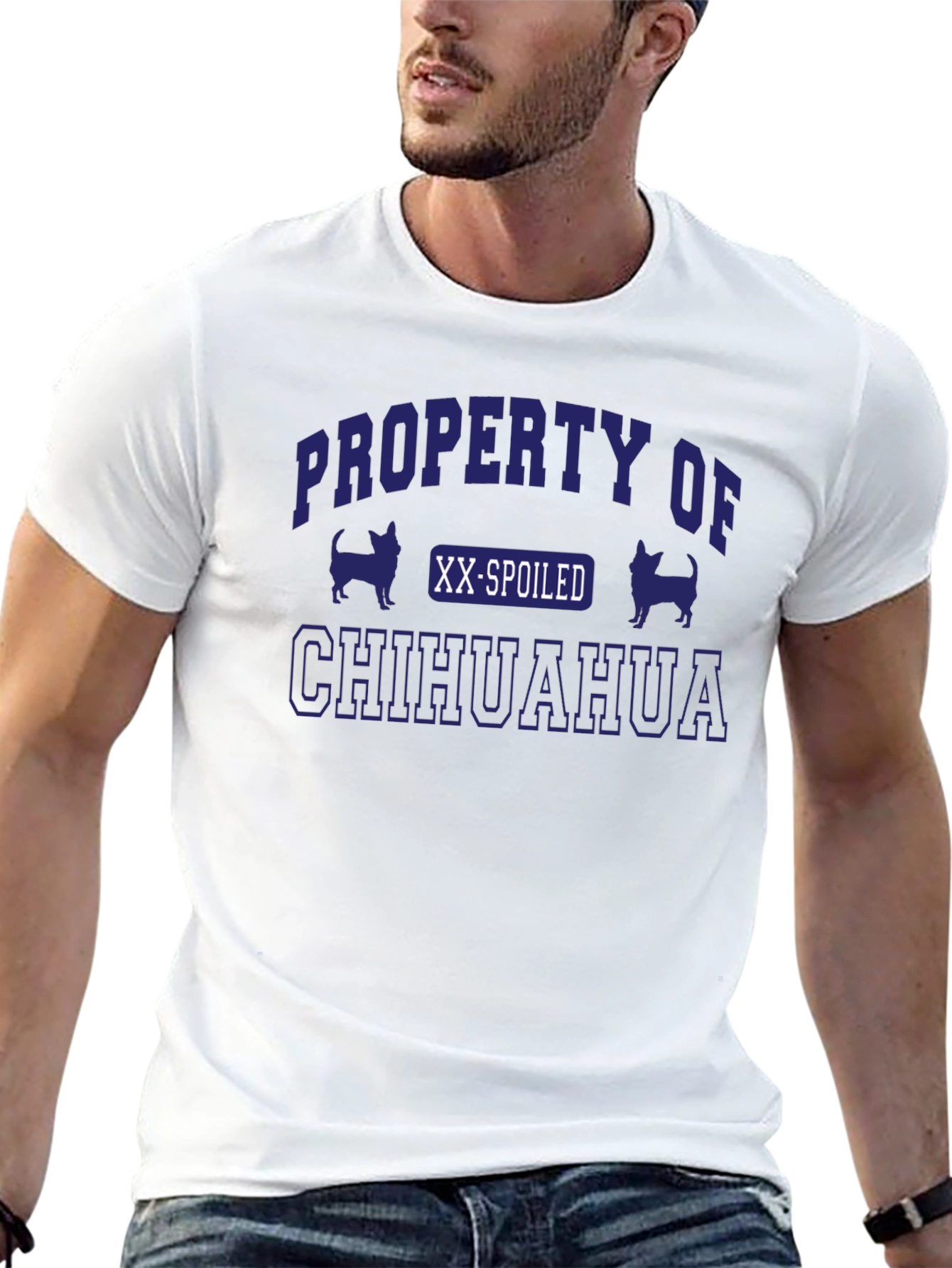 Property Of A Spoiled Chihuahua T-Shirt