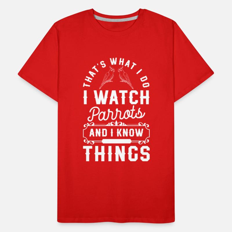 Bird Feather Beak Species