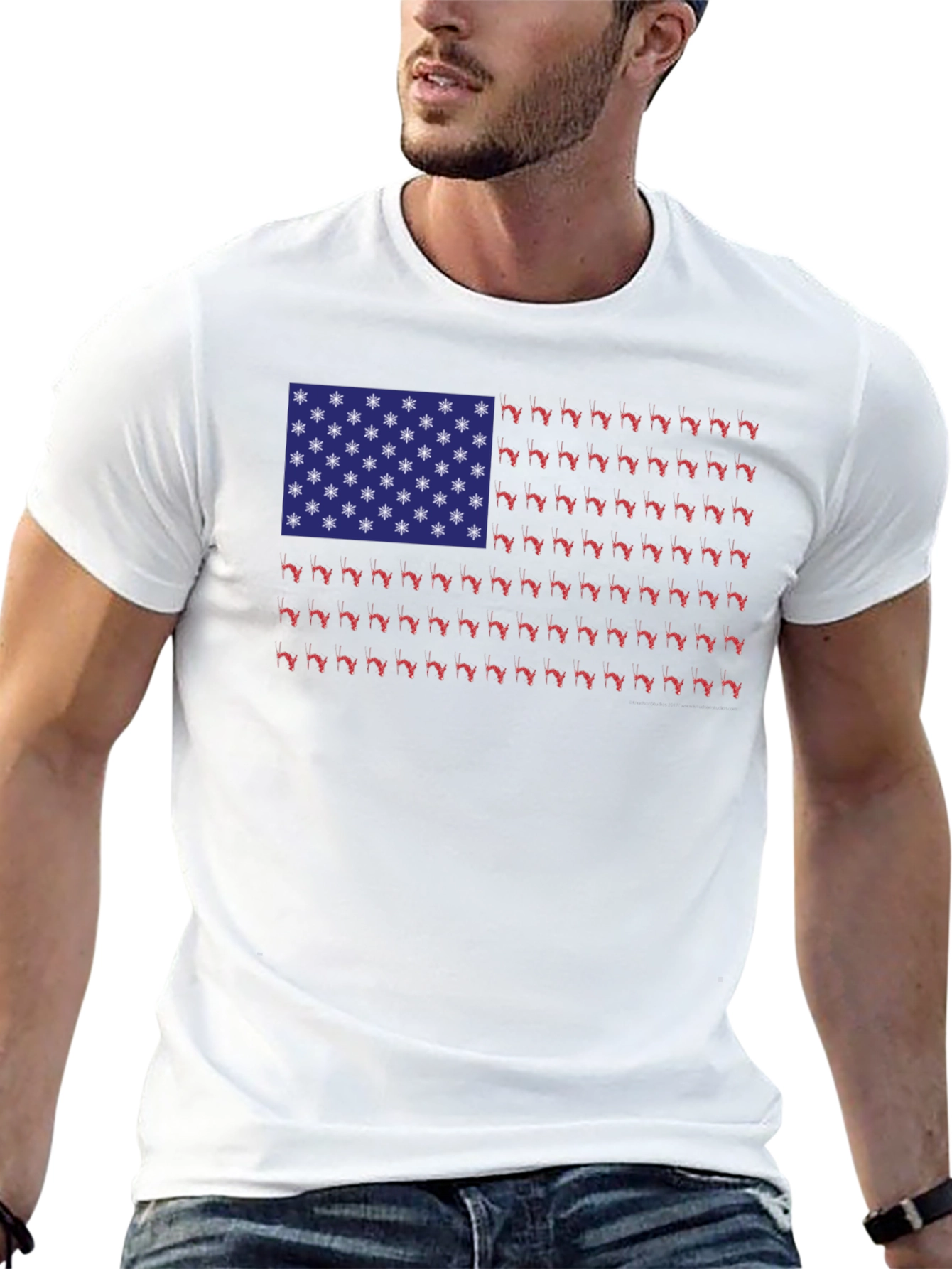 Florida State Flag T-Shirt - Novelty Graphic Tee