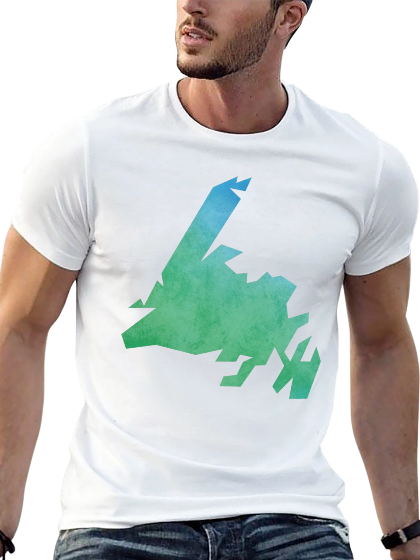 Newfoundland & Labrador Graphic Tee - Black