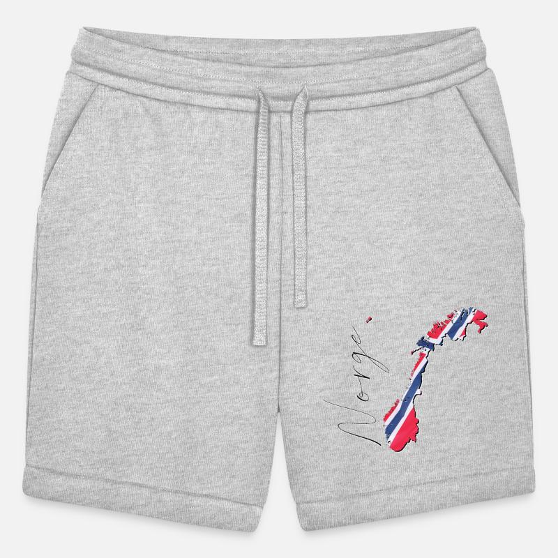 Norway Flag in Norway Map NO