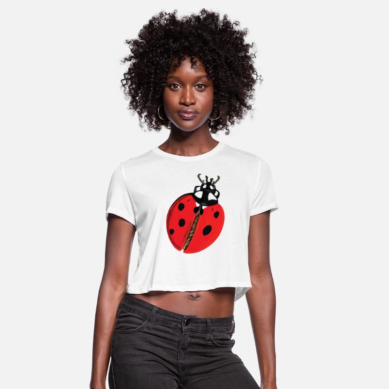 Red LadyBug Coccinellidae Illustration