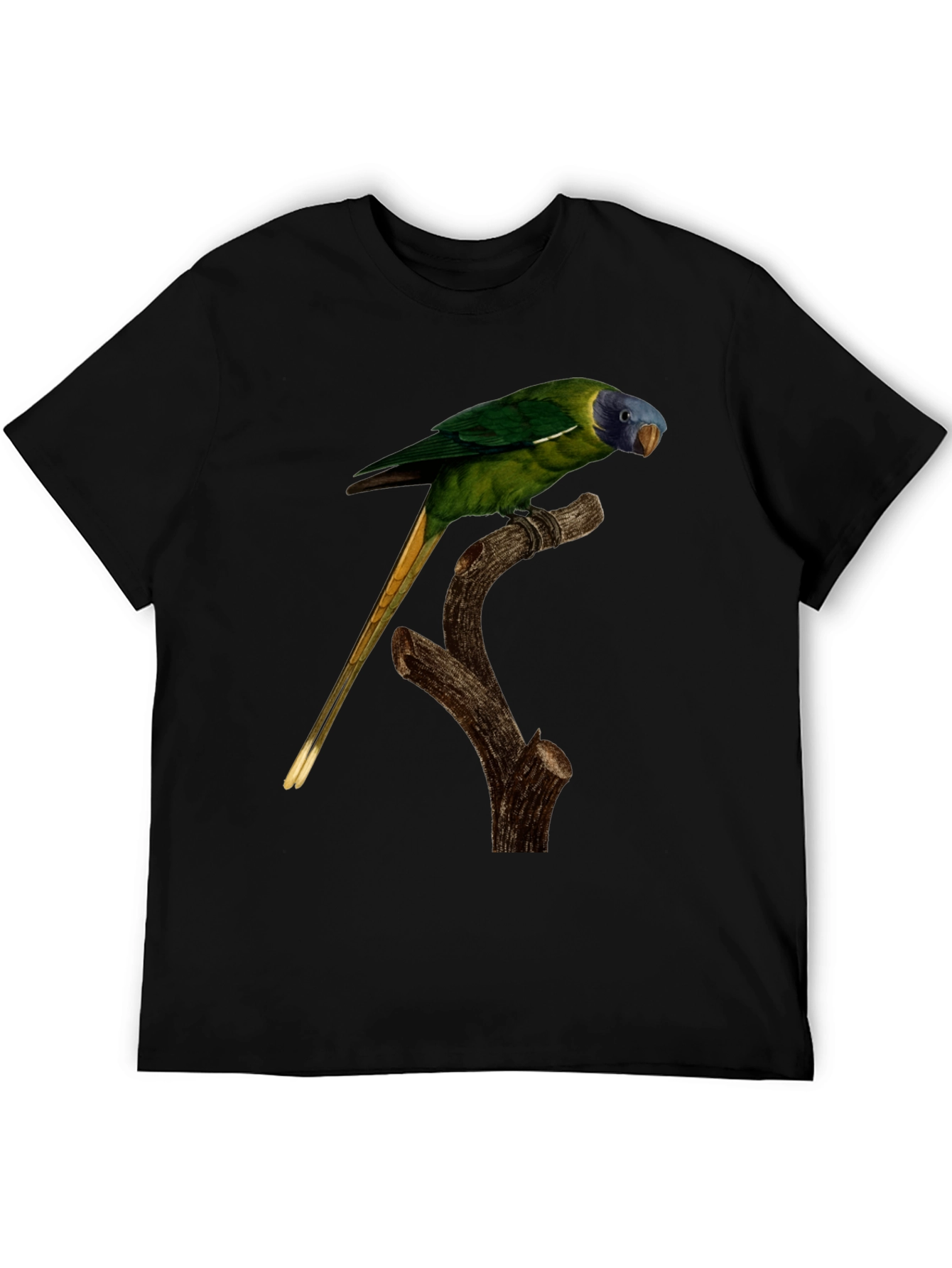 Parrot Graphic T-Shirt - Nature Lover Tee