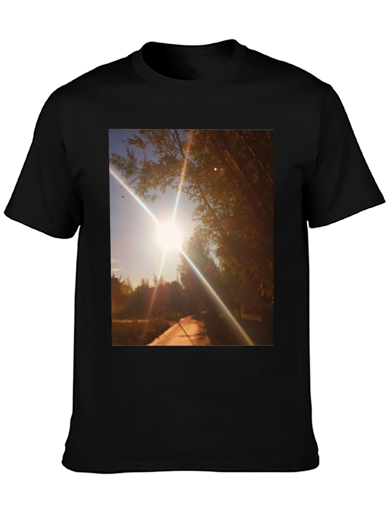 Sunlit Path Graphic Tee