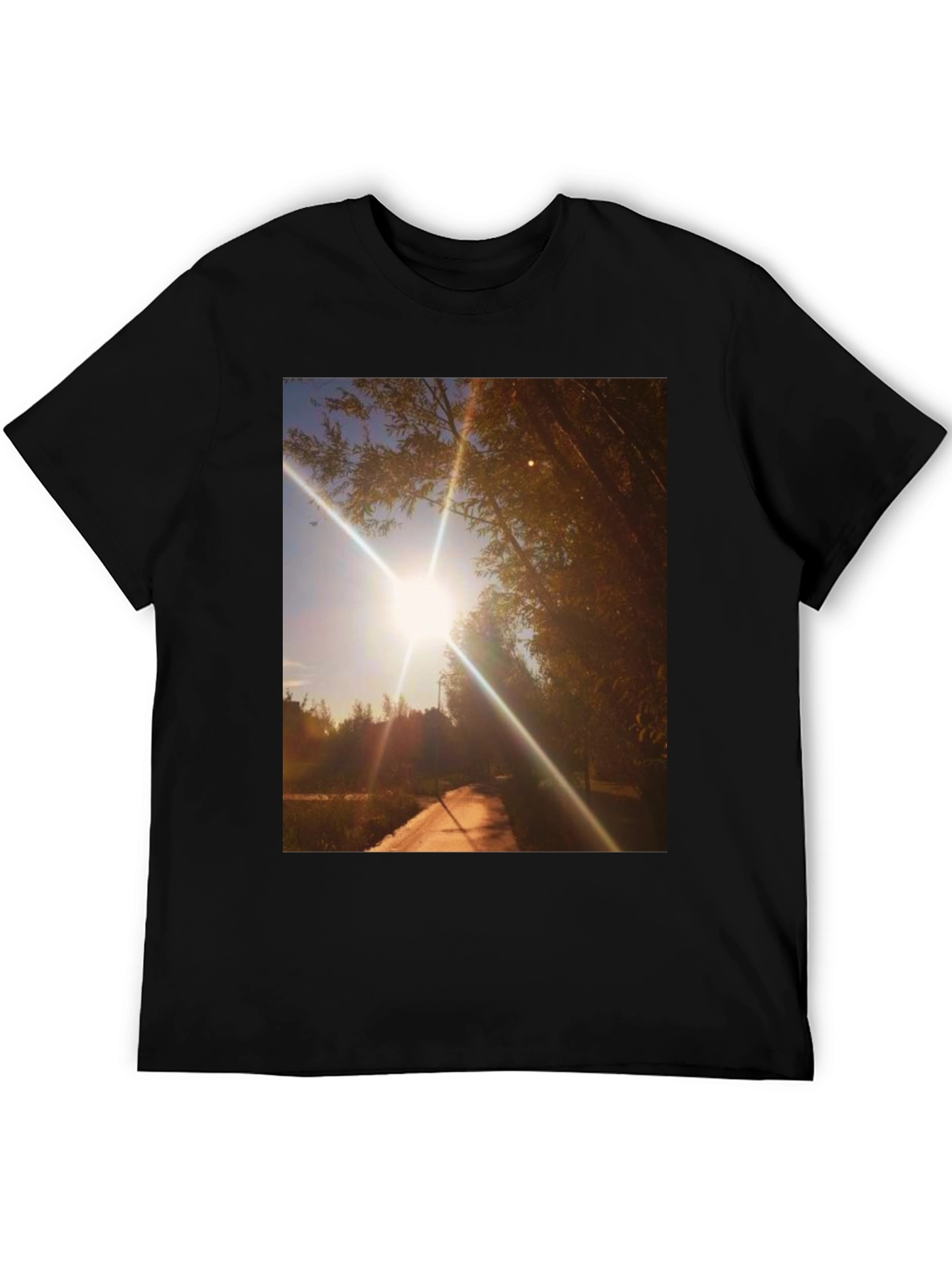 Sunlit Path Graphic Tee
