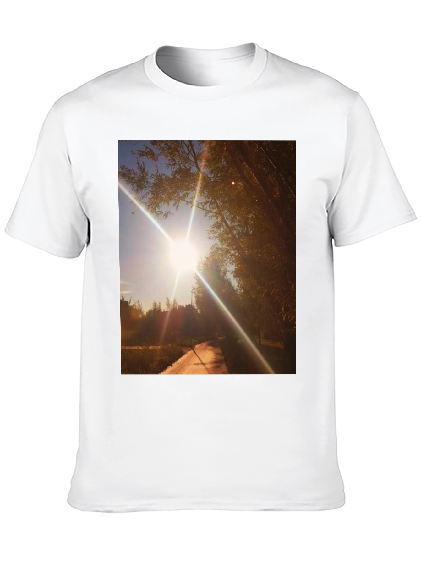 Sunlit Path Graphic Tee