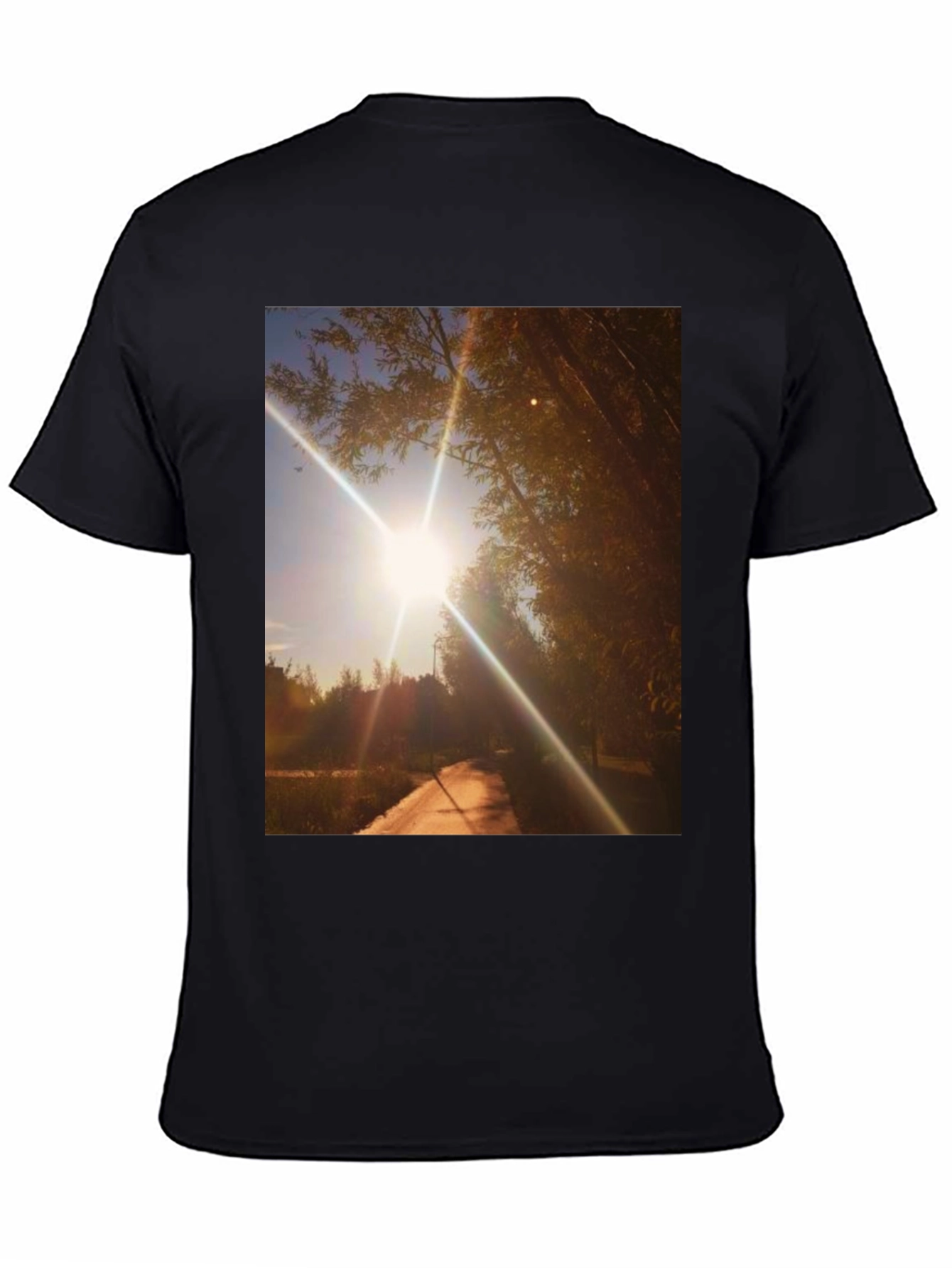 Sunlit Path Graphic Tee