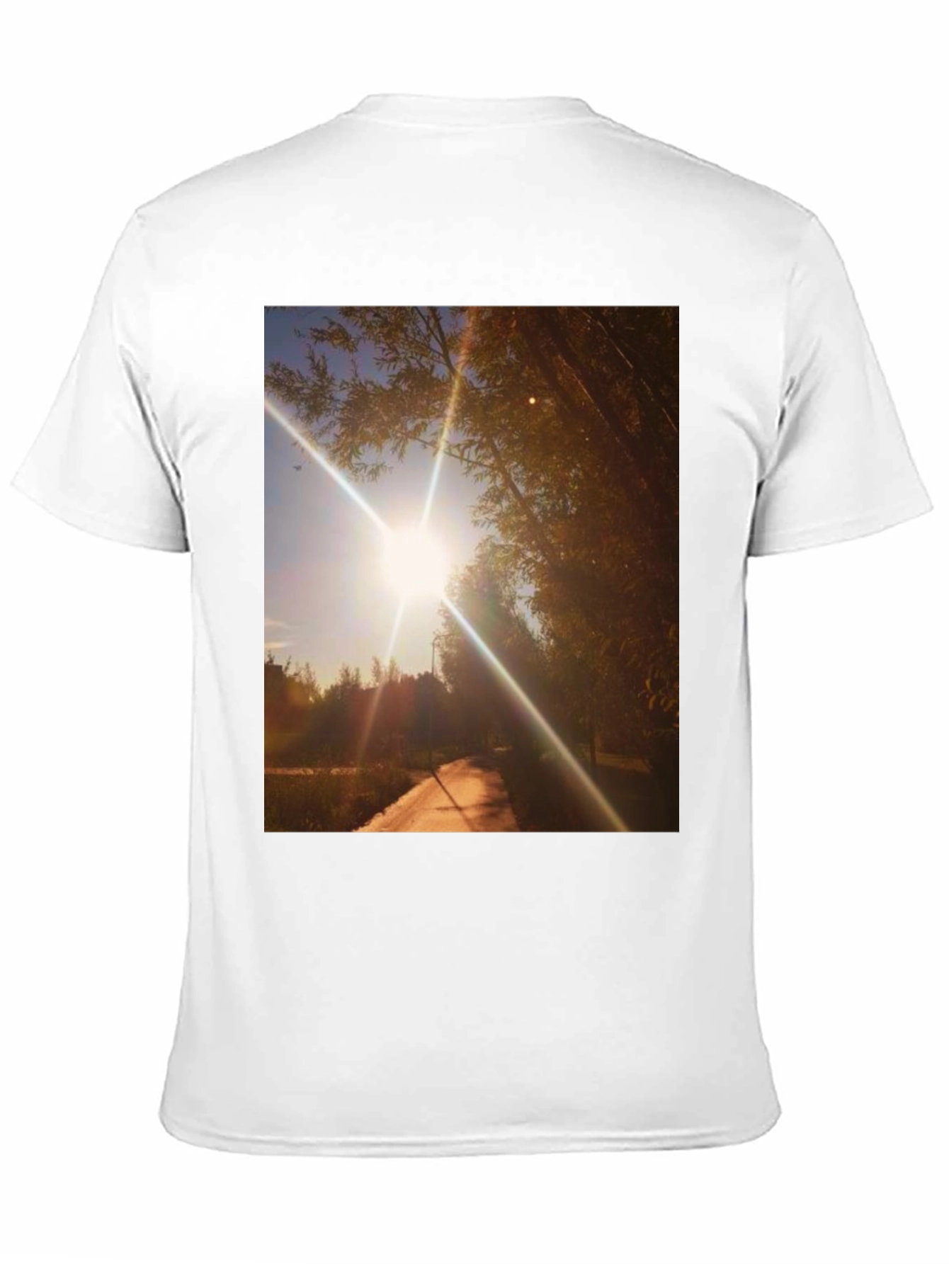 Sunlit Path Graphic Tee