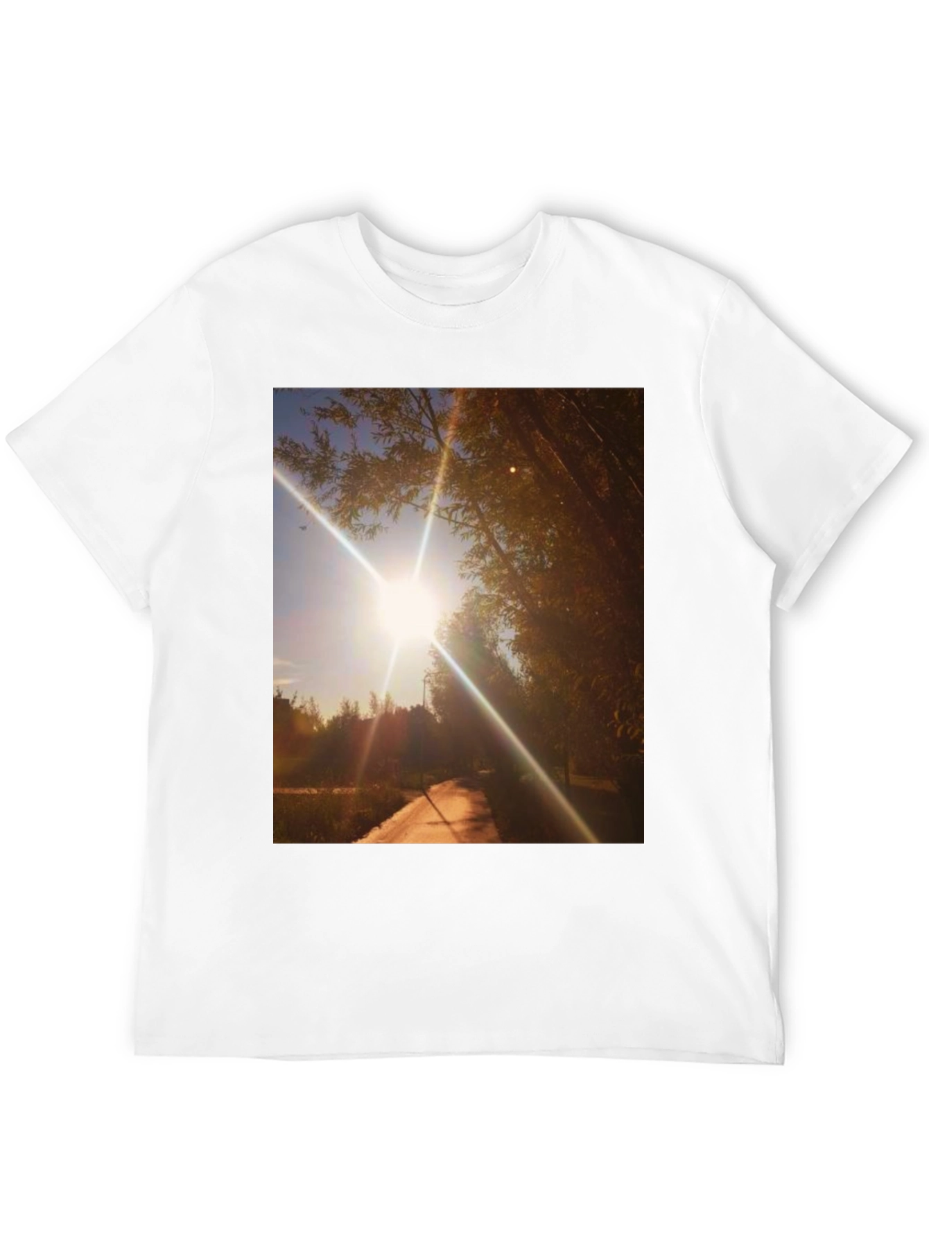 Sunlit Path Graphic Tee