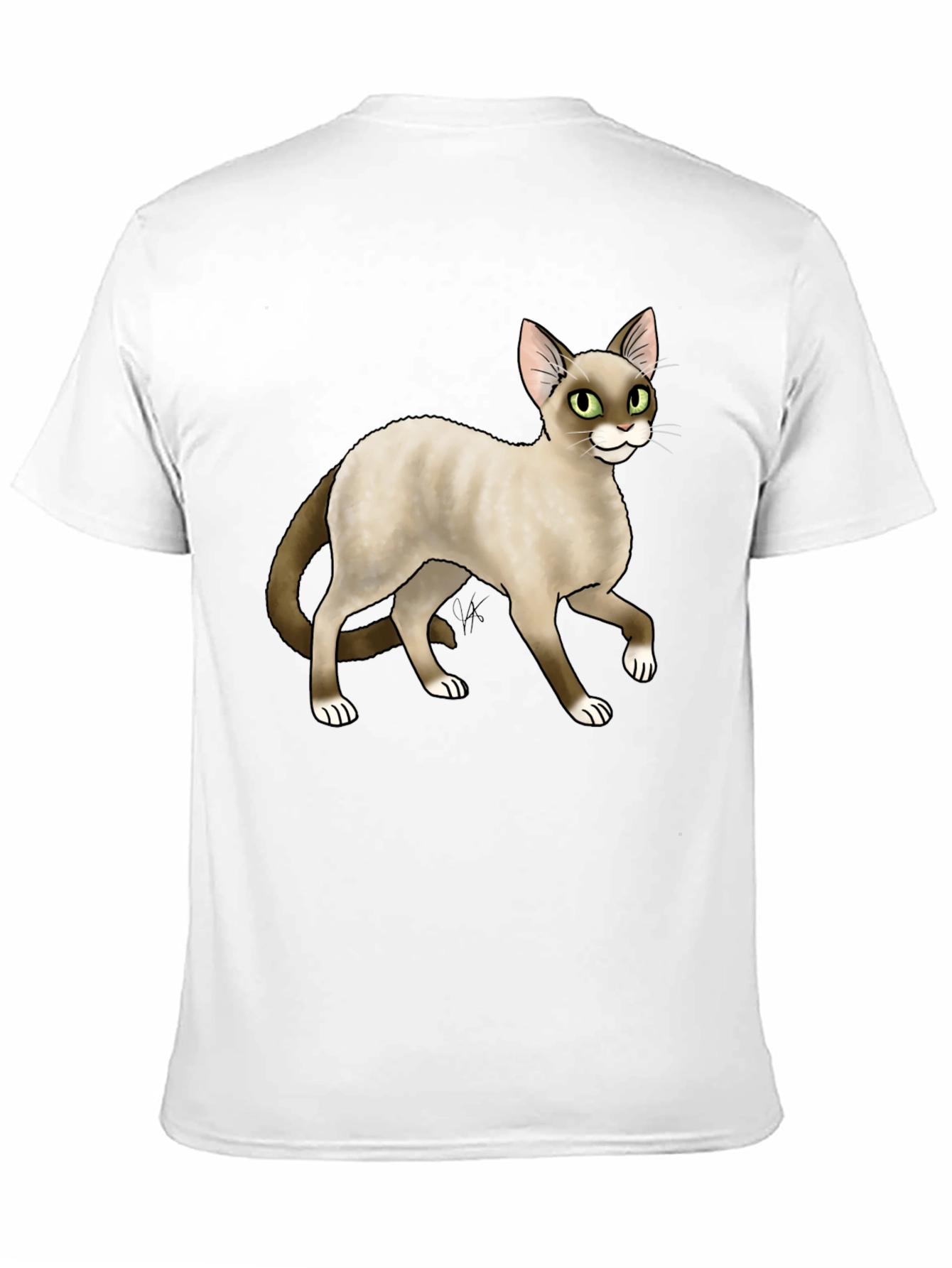 Cat Graphic Black T-Shirt