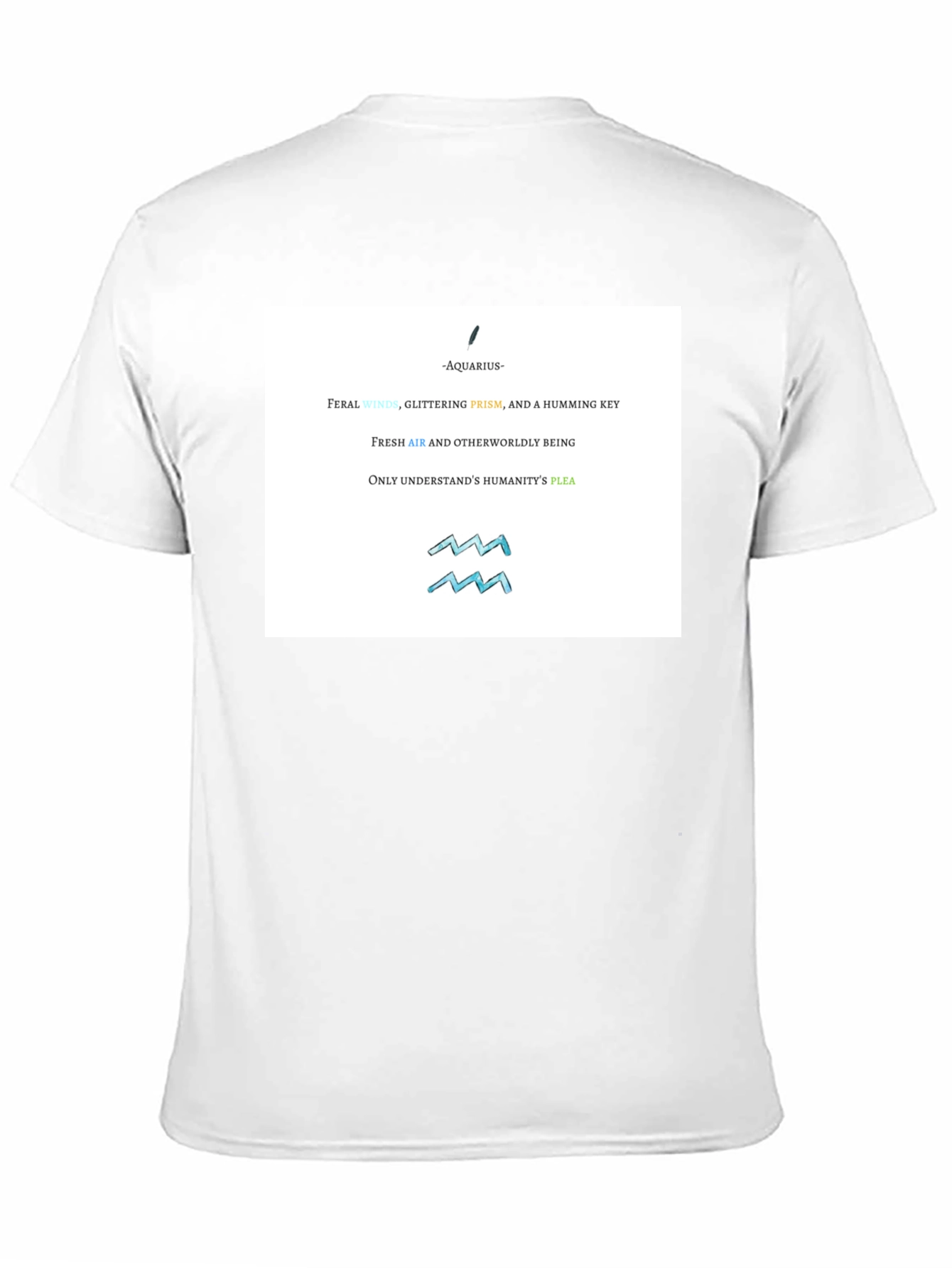 Aquarius Zodiac Graphic T-Shirt