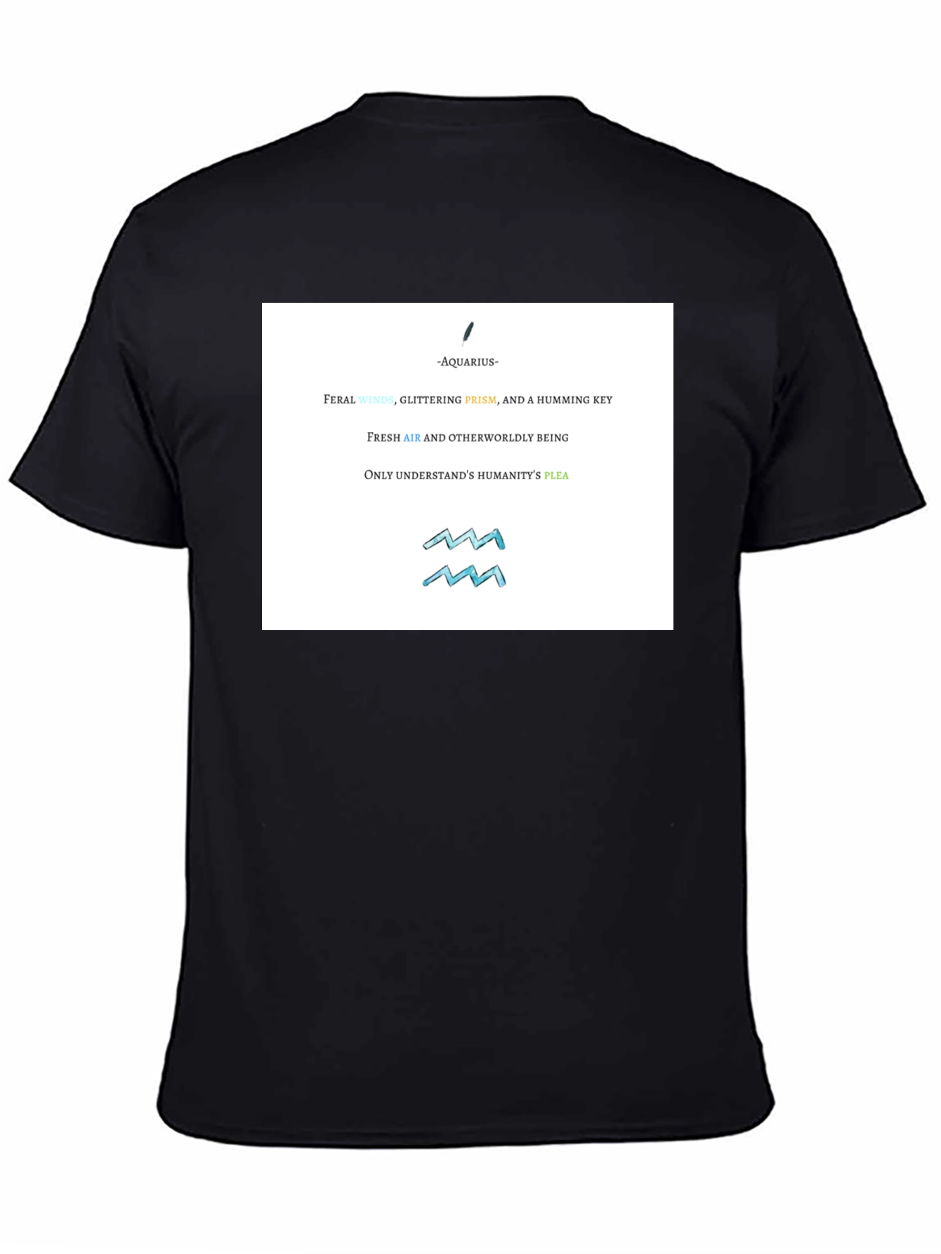 Aquarius Zodiac Graphic T-Shirt