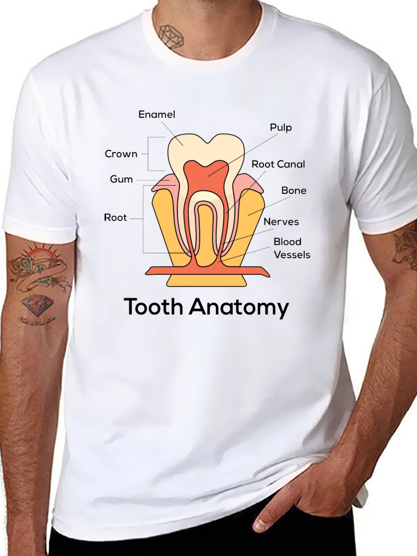 Tooth Anatomy Graphic T-Shirt