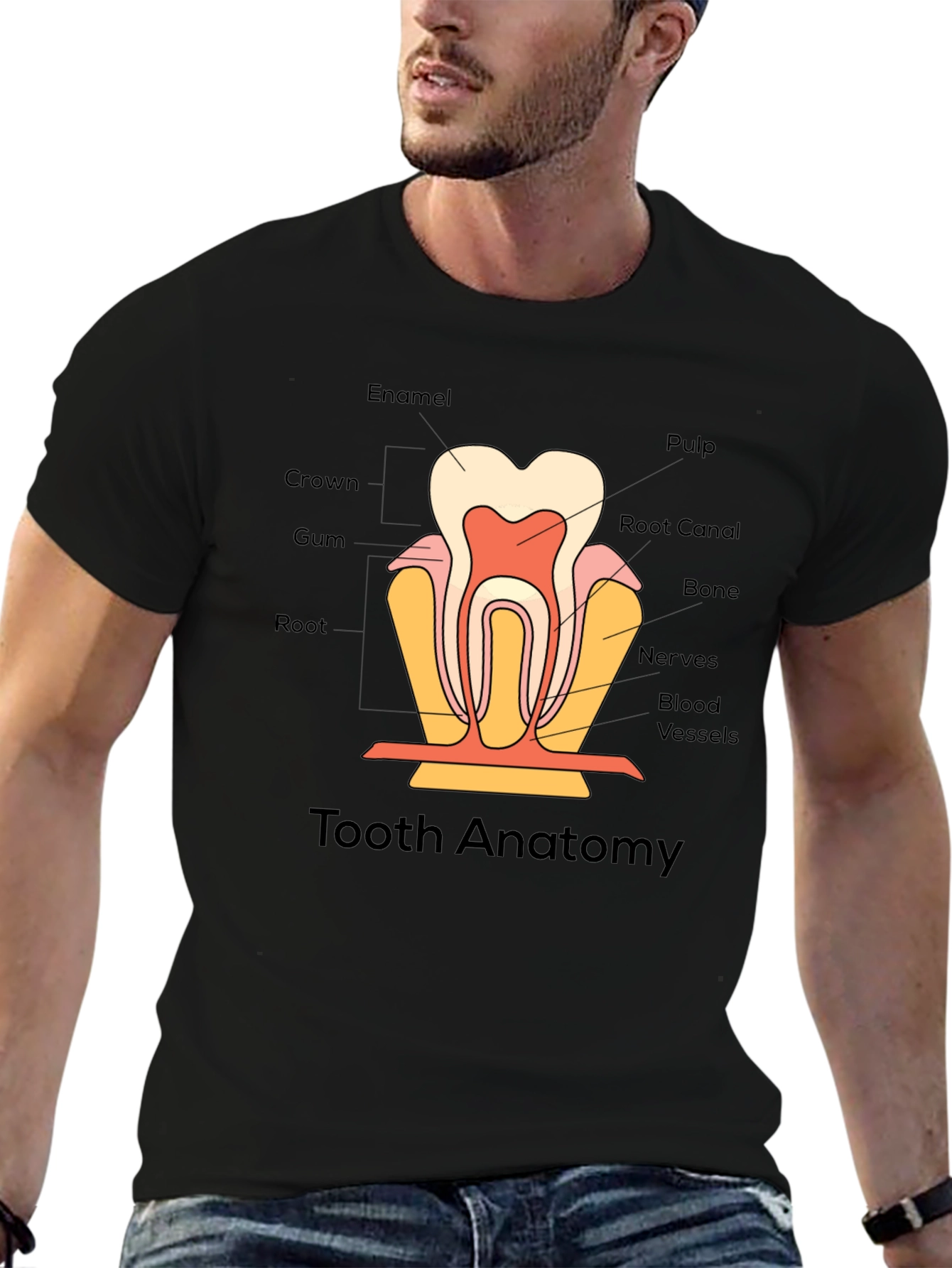 Tooth Anatomy Graphic T-Shirt