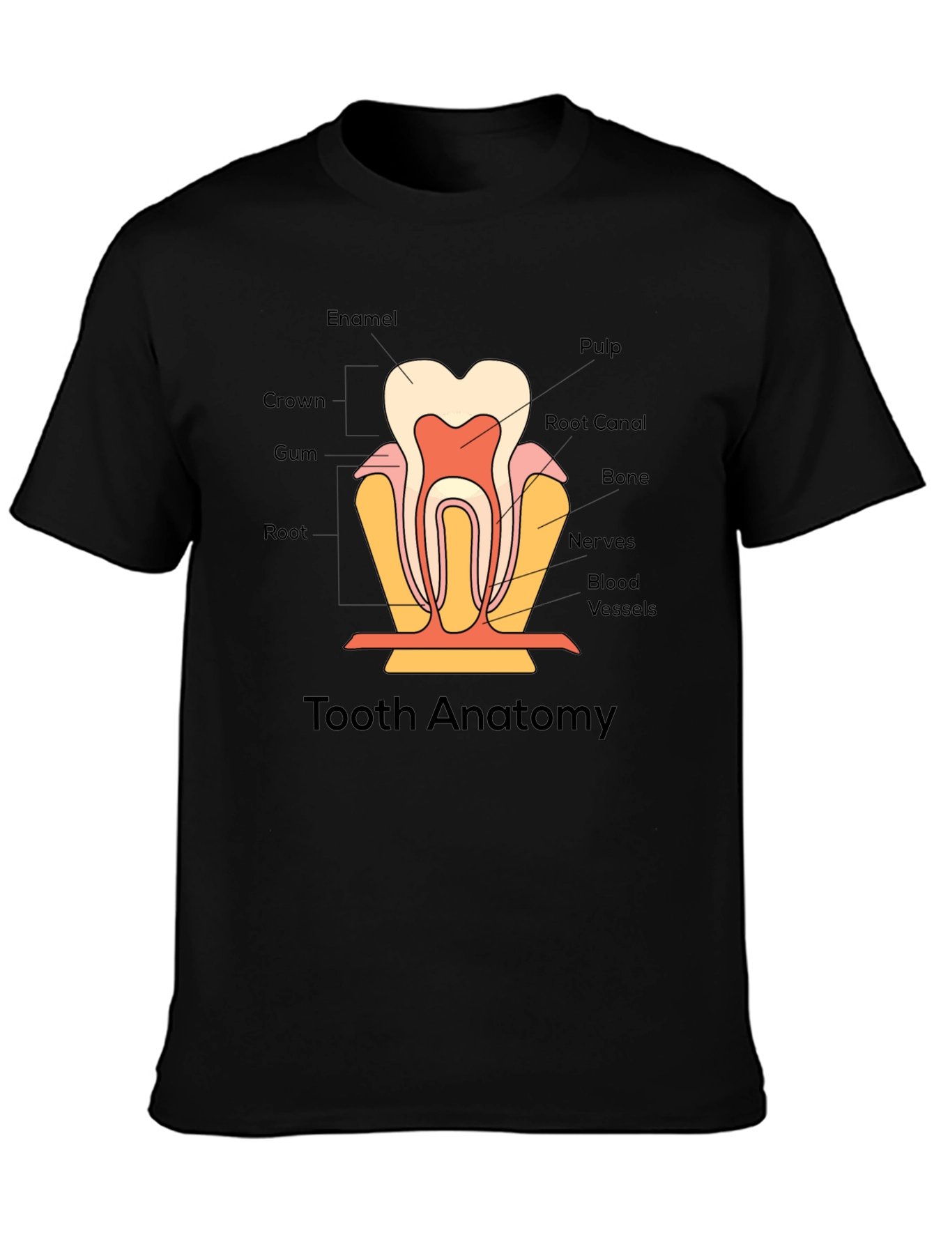 Tooth Anatomy Graphic T-Shirt