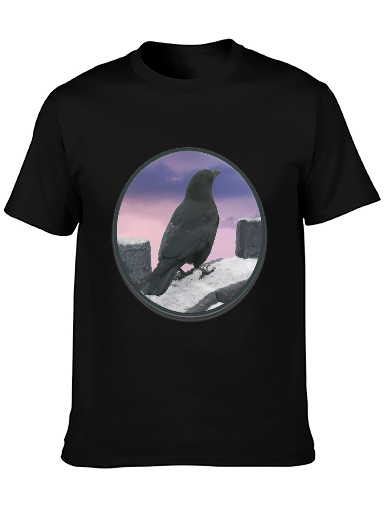 Raven on The Wall T-Shirt