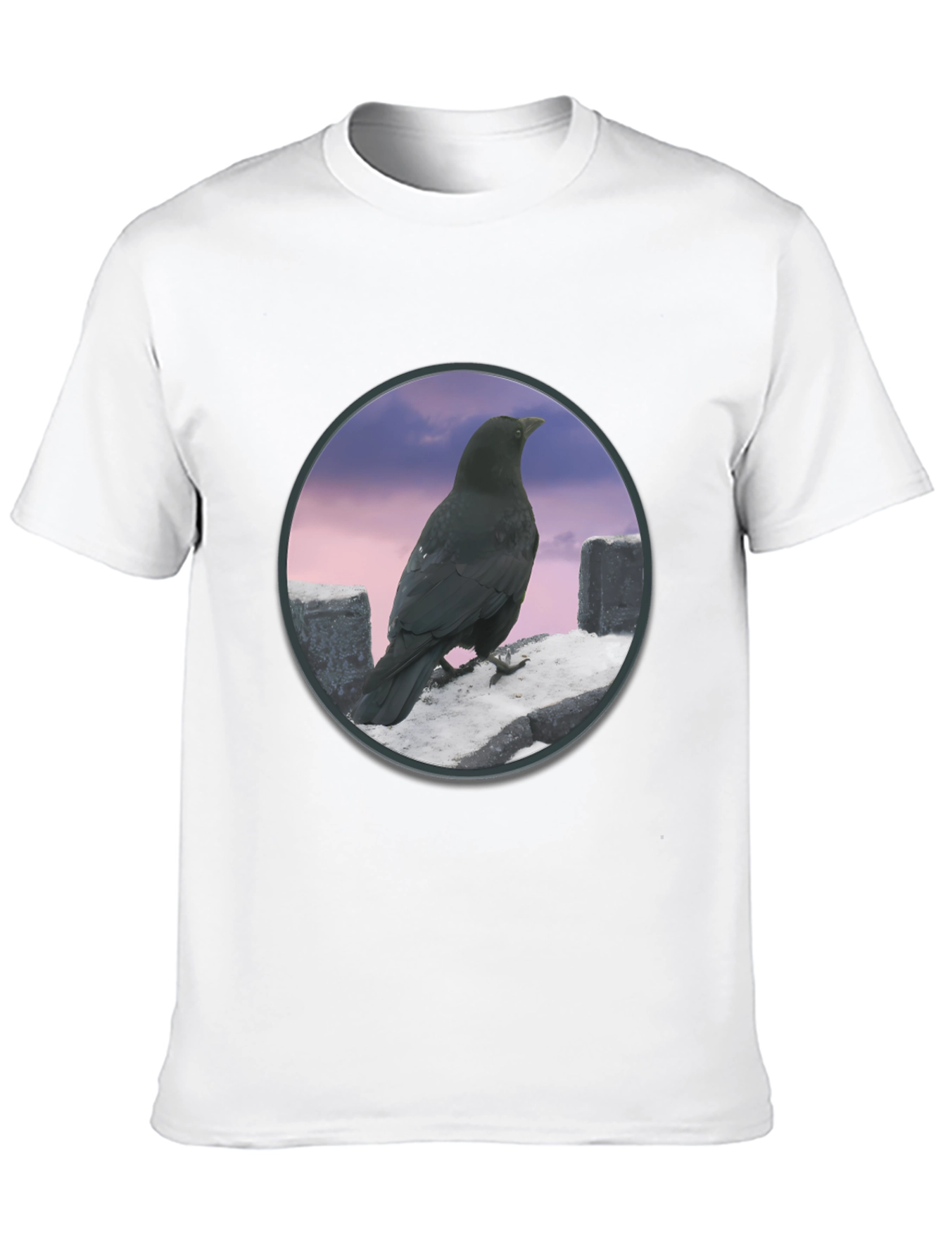 Raven on The Wall T-Shirt