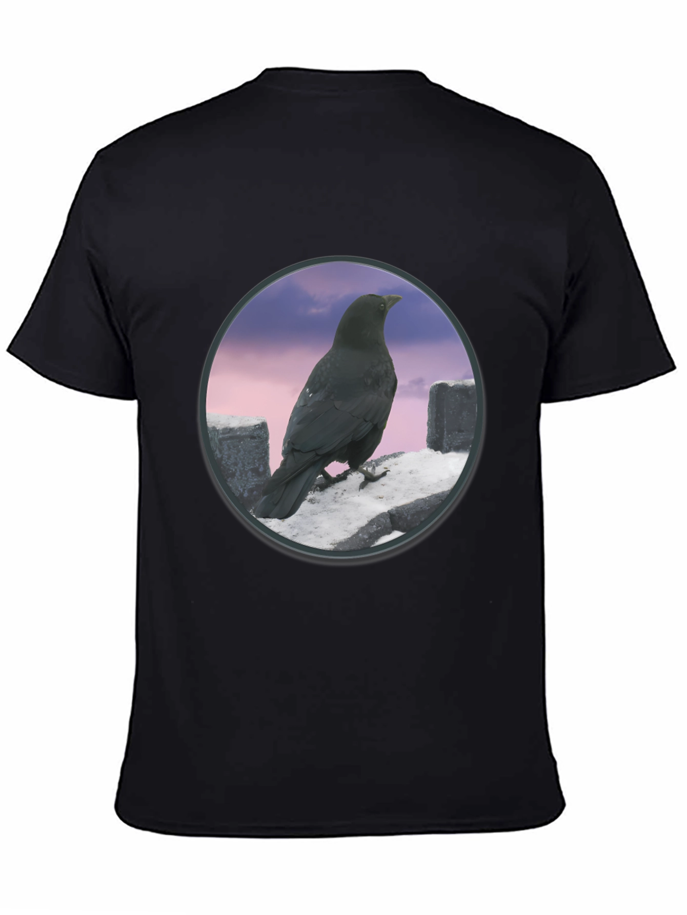 Raven on The Wall T-Shirt