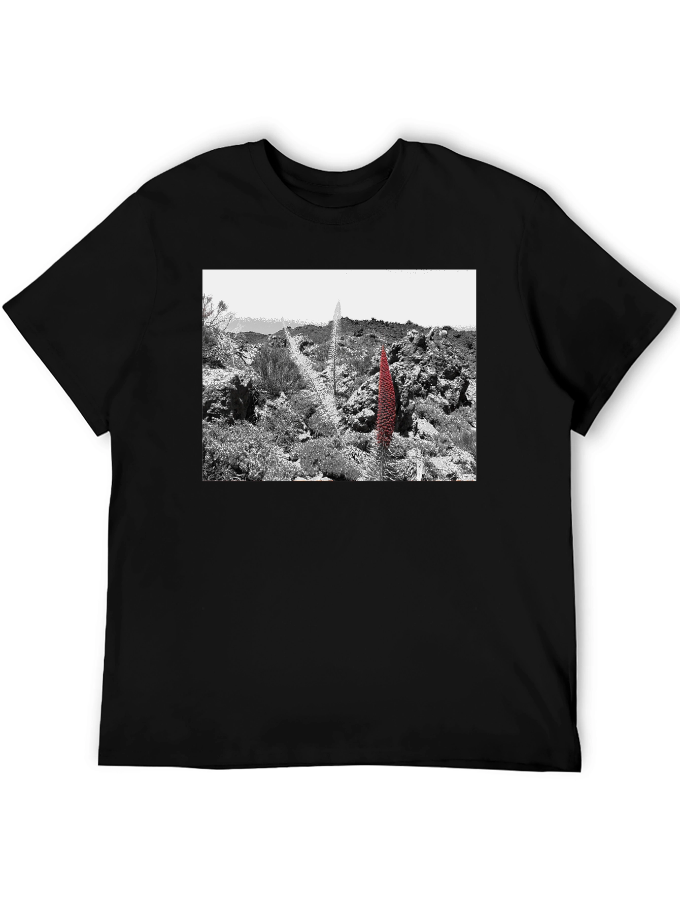 Unique Graphic Tee - Desert Floral Design