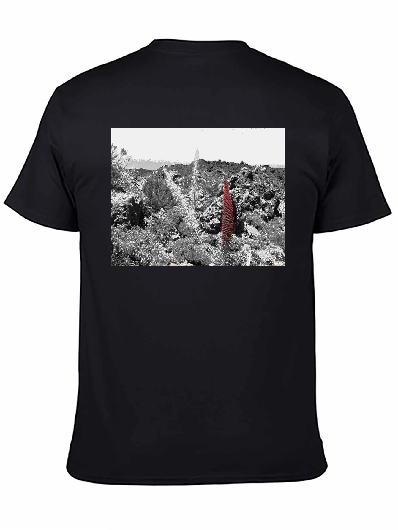 Unique Graphic Tee - Desert Floral Design