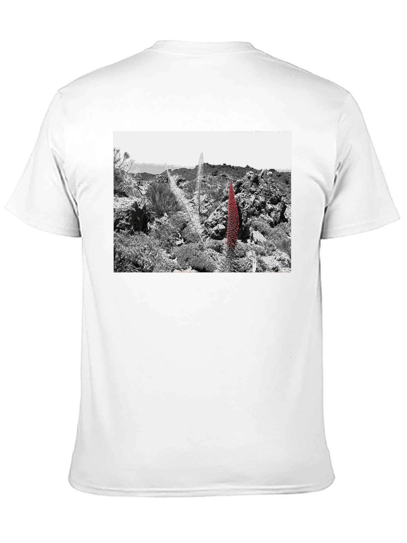 Unique Graphic Tee - Desert Floral Design