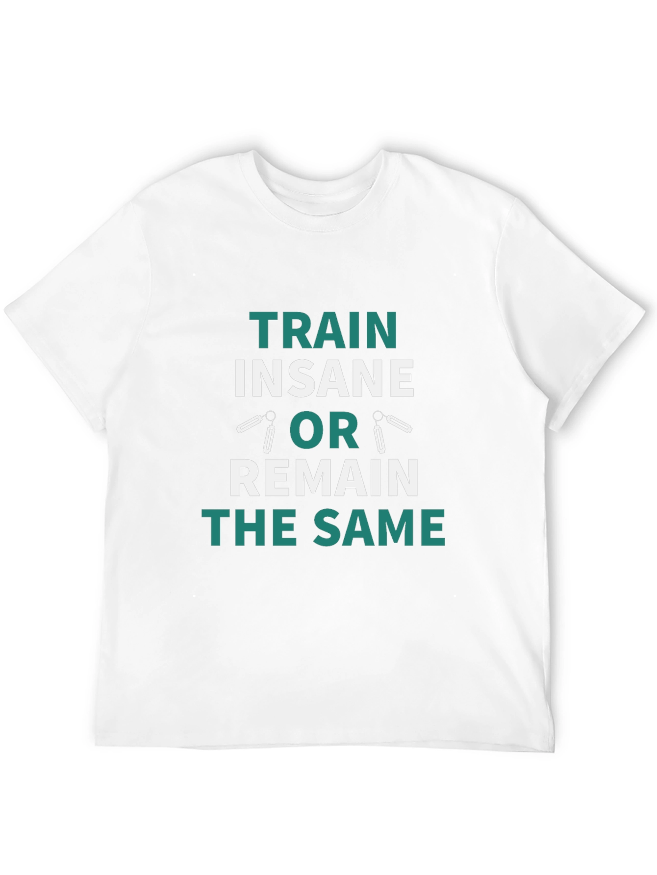 Train Insane T-Shirt - Fitness Motivation Tee