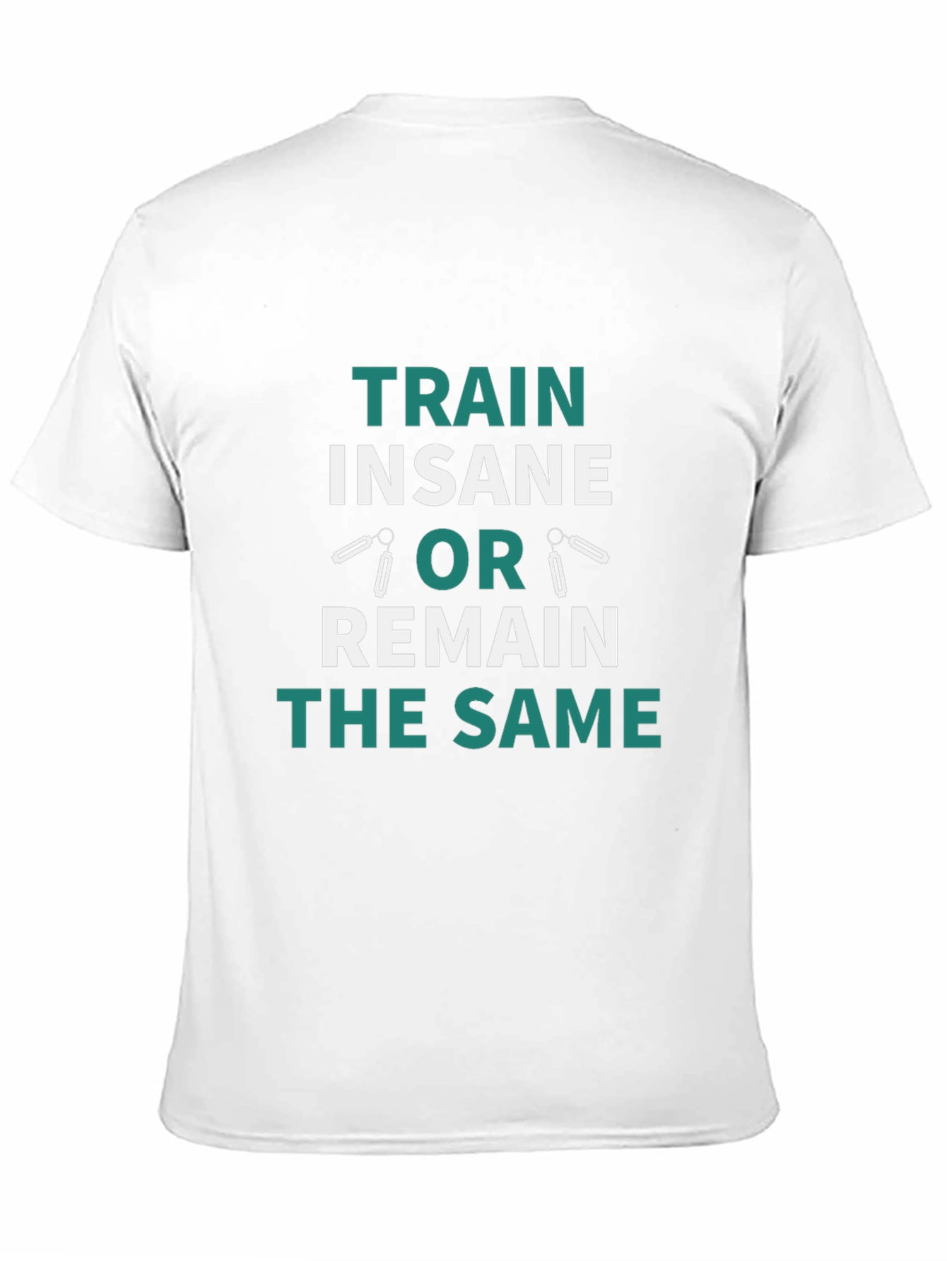 Train Insane T-Shirt - Fitness Motivation Tee