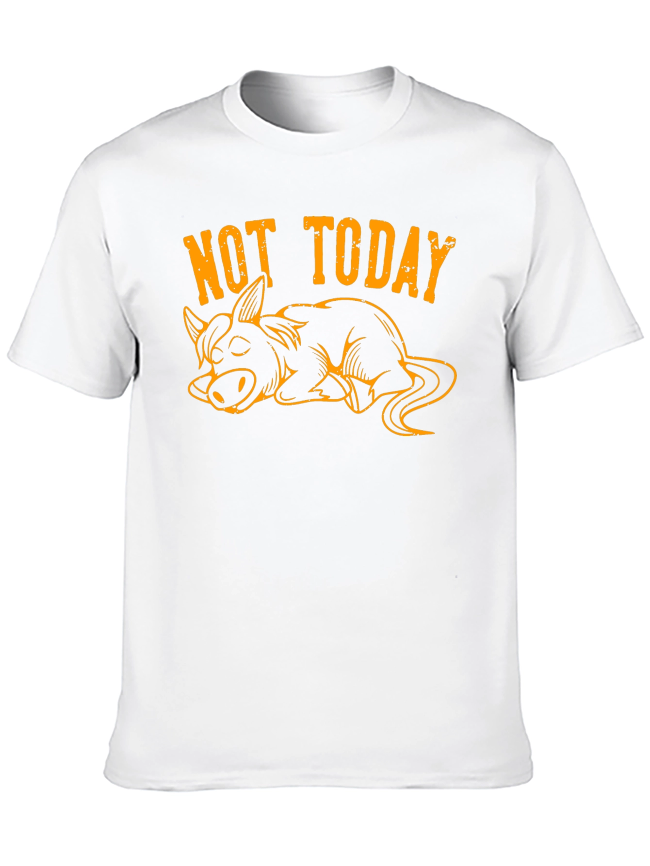 Not Today Lazy Donkey Graphic Tee