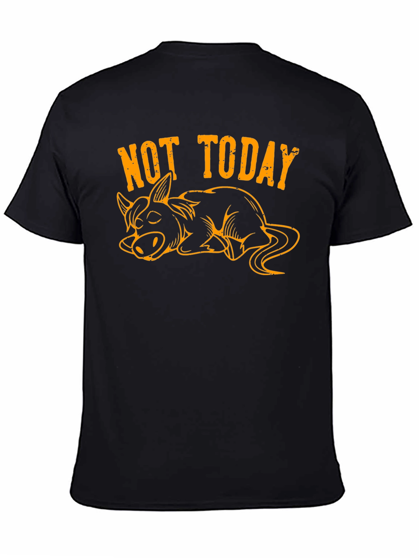 Not Today Lazy Donkey Graphic Tee