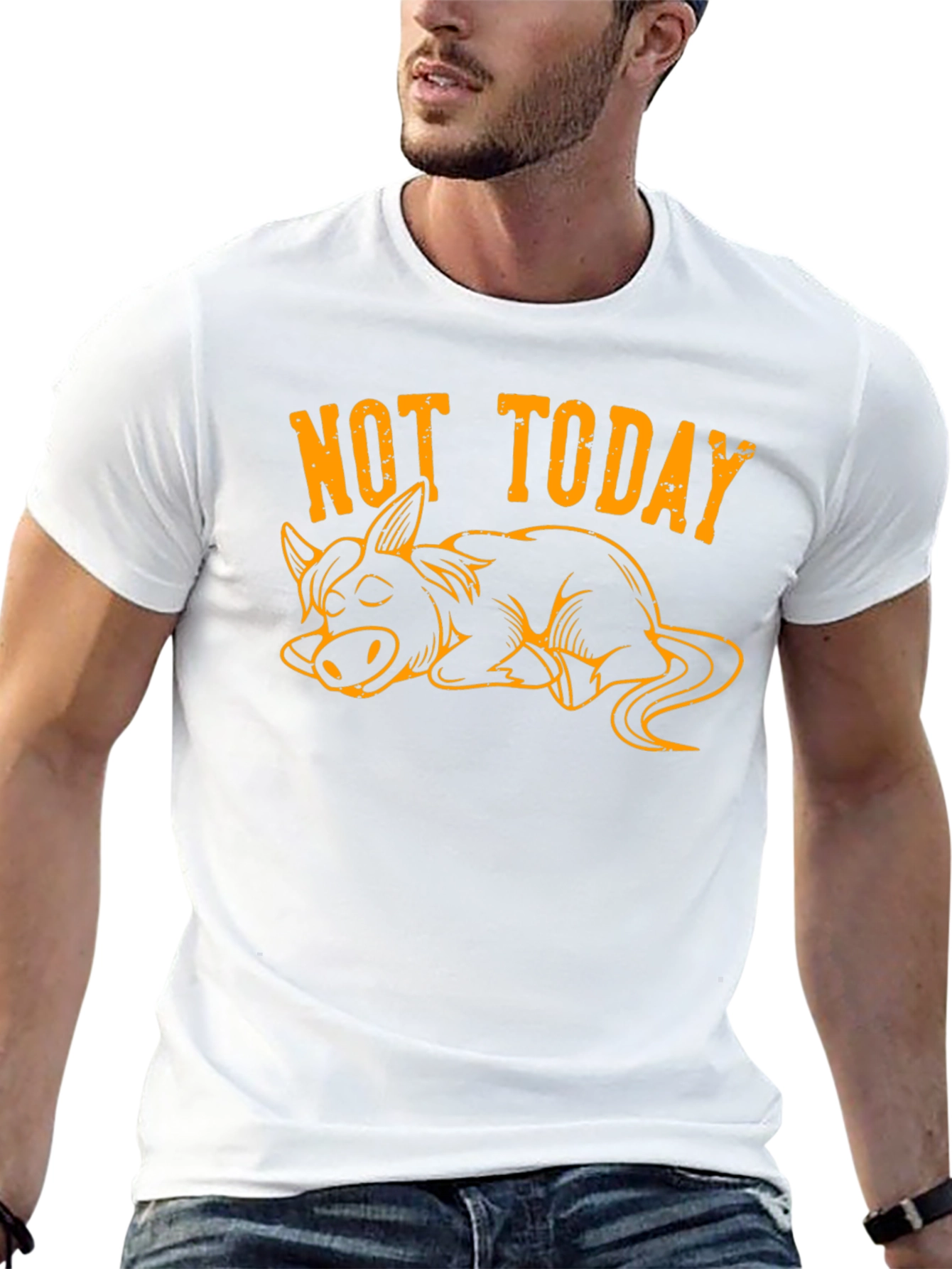 Not Today Lazy Donkey Graphic Tee