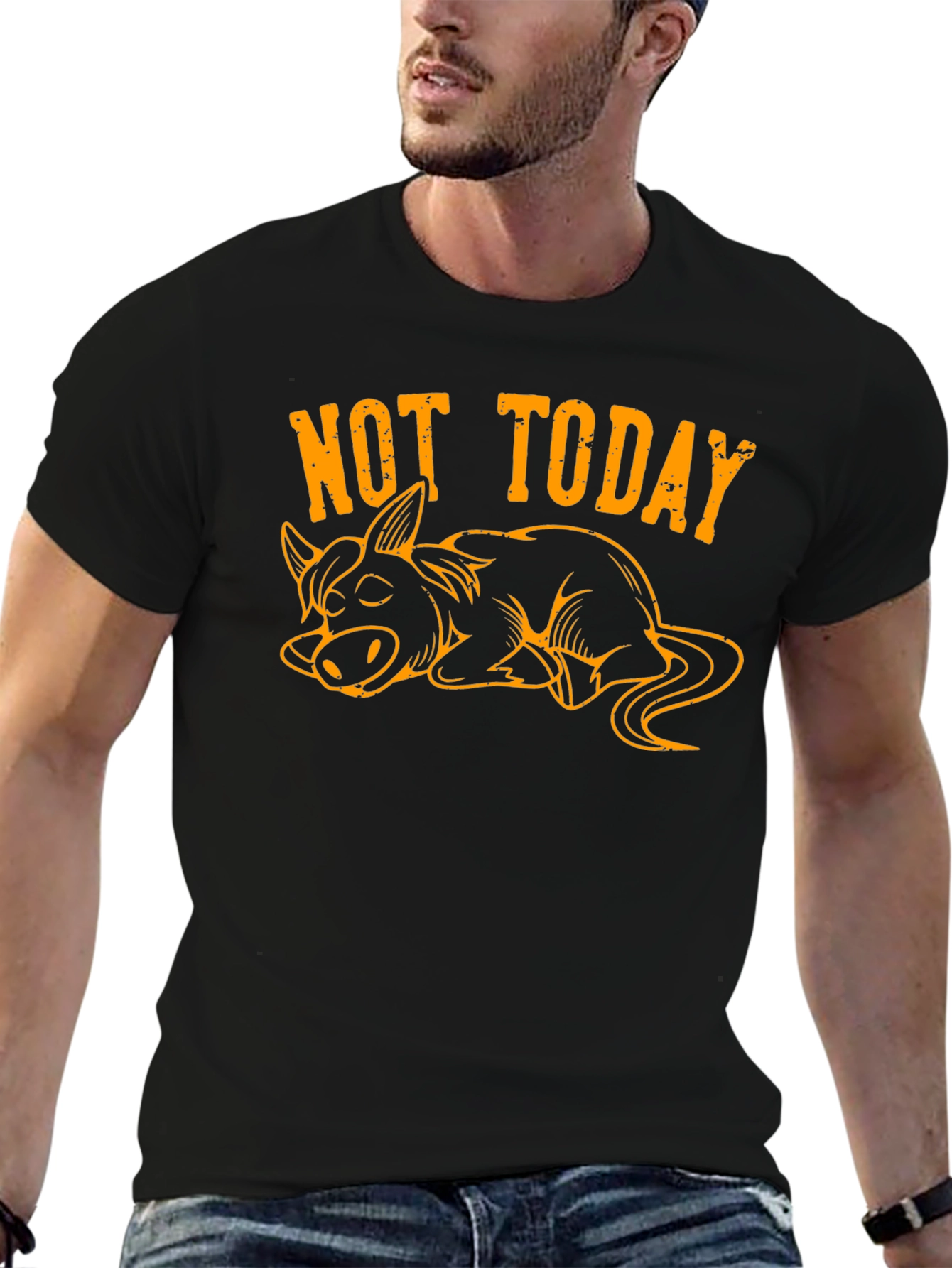 Not Today Lazy Donkey Graphic Tee