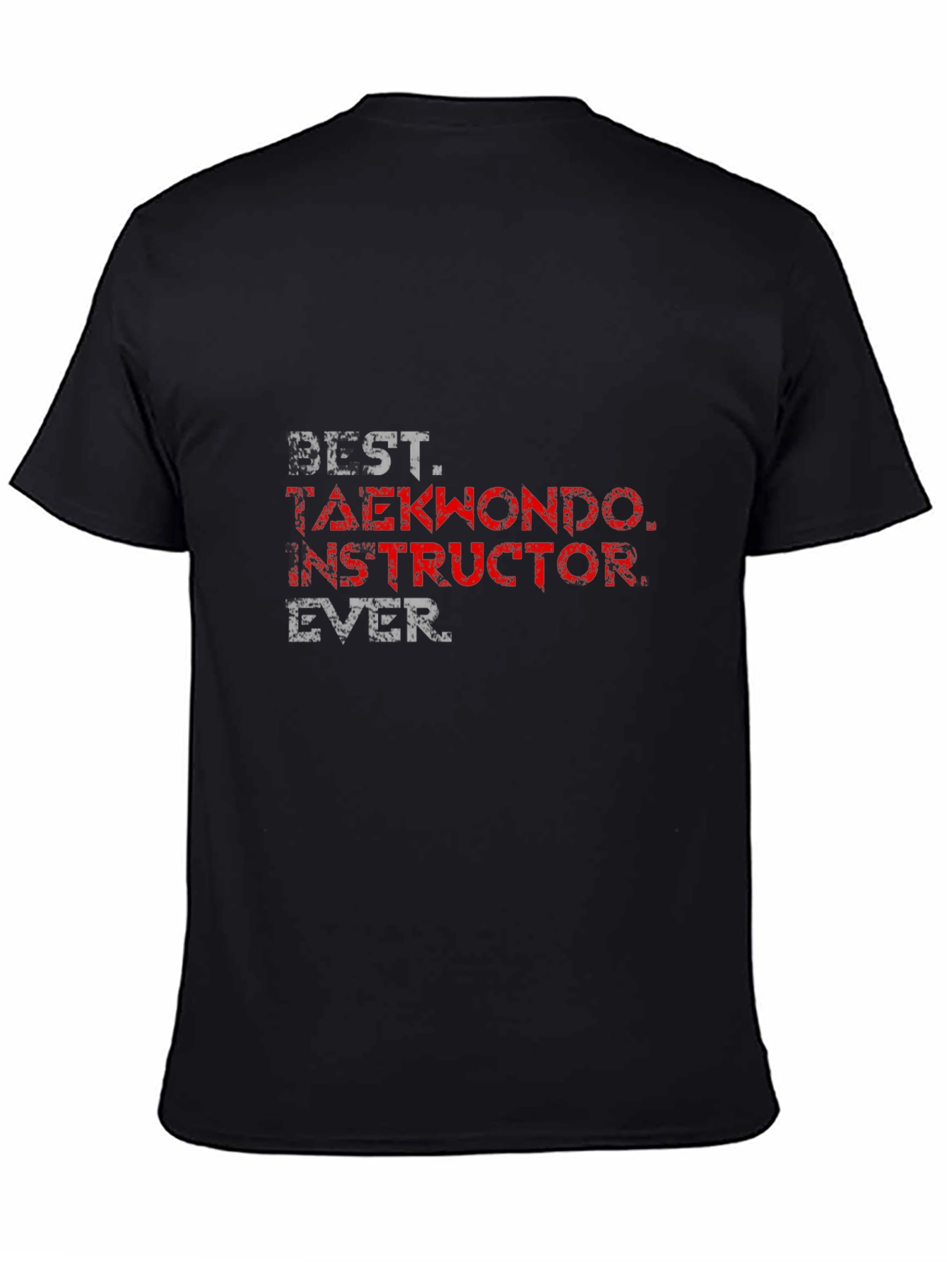 Best Taekwondo Instructor Ever T-Shirt