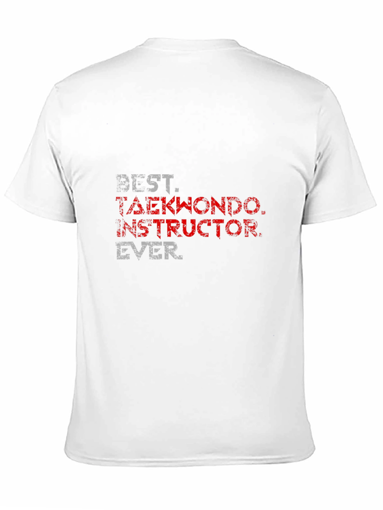Best Taekwondo Instructor Ever T-Shirt