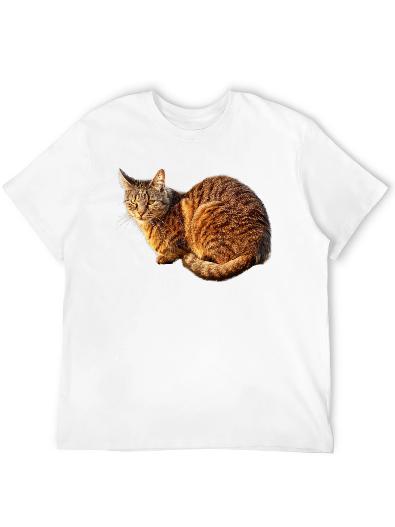 Cat Graphic Black T-Shirt - Unique Design