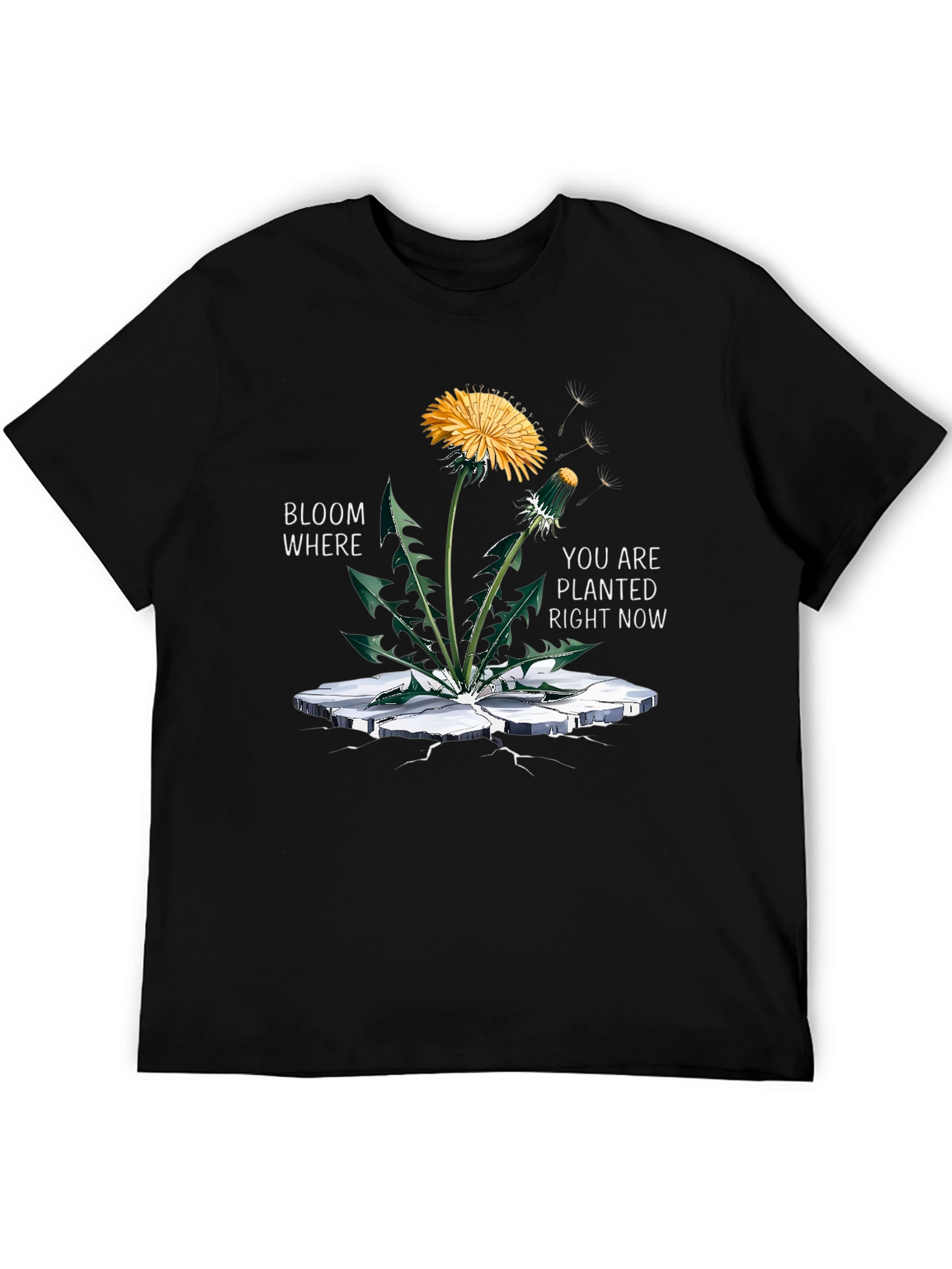 Bloom Where Planted Black Graphic Tee