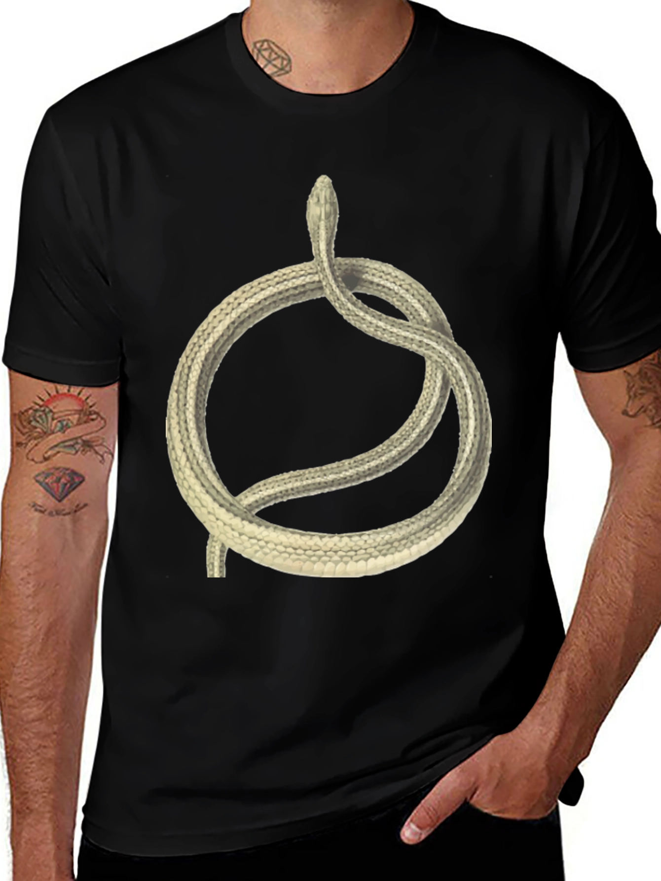 Snake Circle Graphic T-Shirt - Unique Animal Tee
