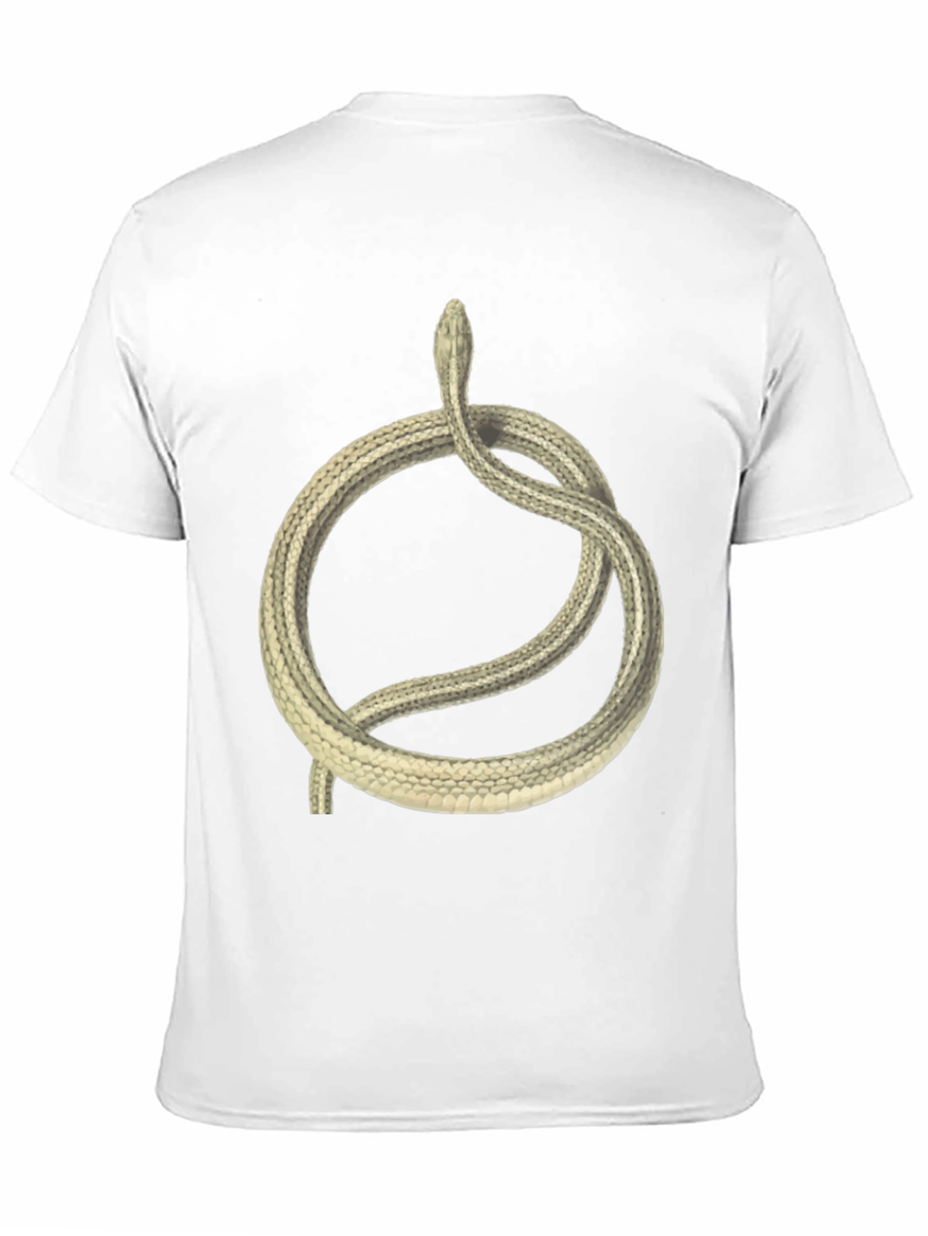Snake Circle Graphic T-Shirt - Unique Animal Tee