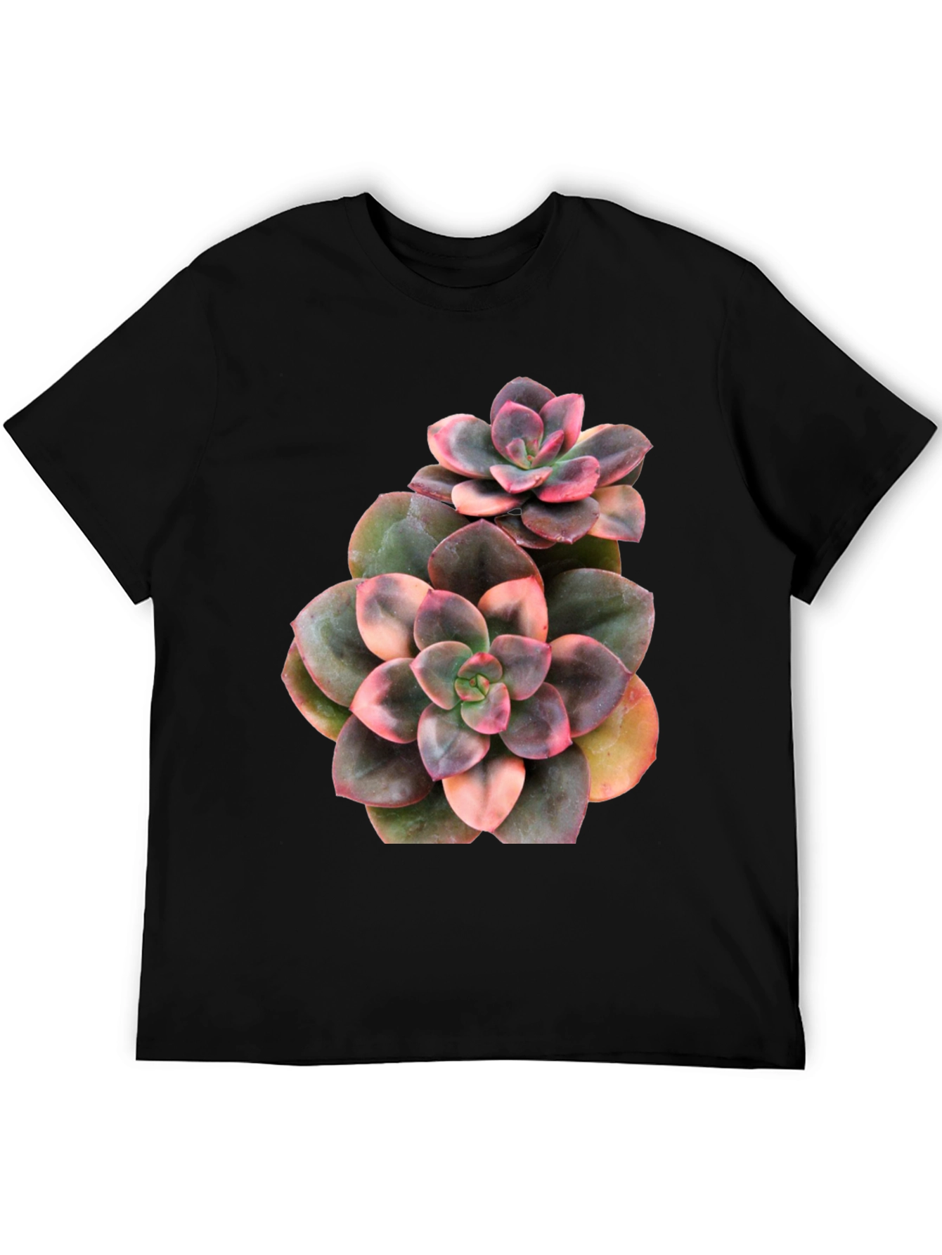 Succulent Plant Graphic Black T-Shirt