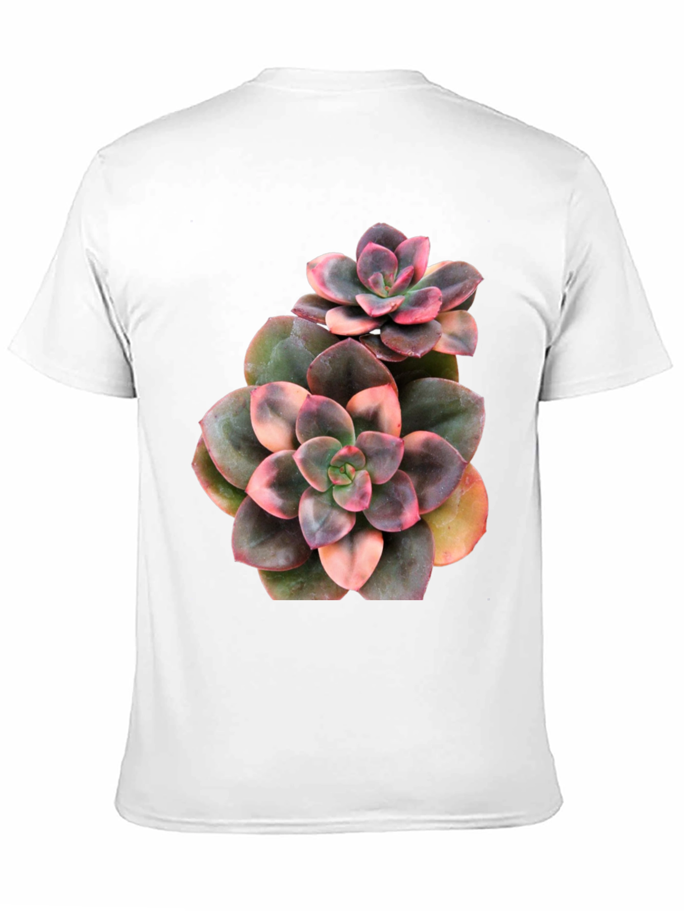 Succulent Plant Graphic Black T-Shirt