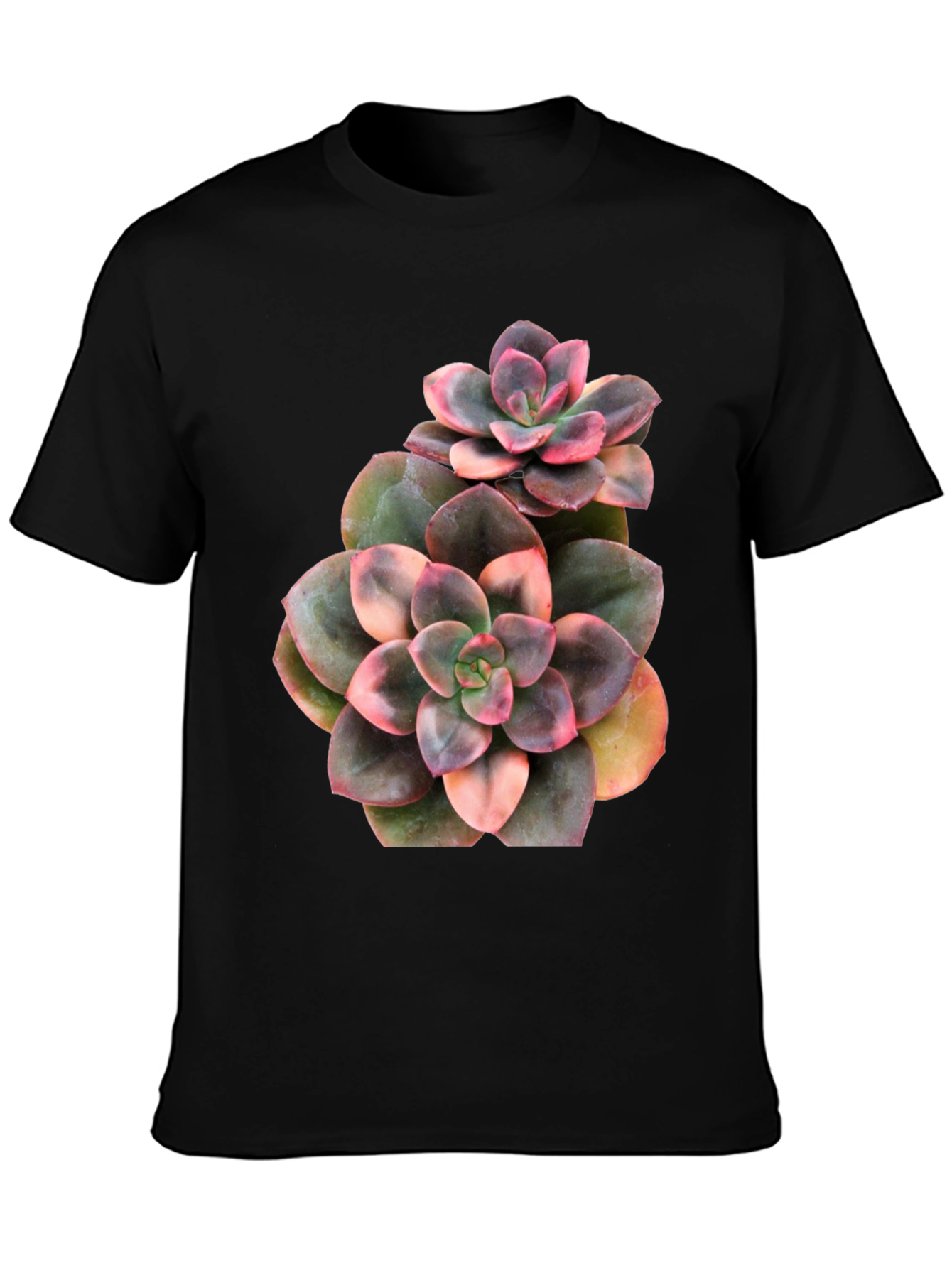 Succulent Plant Graphic Black T-Shirt