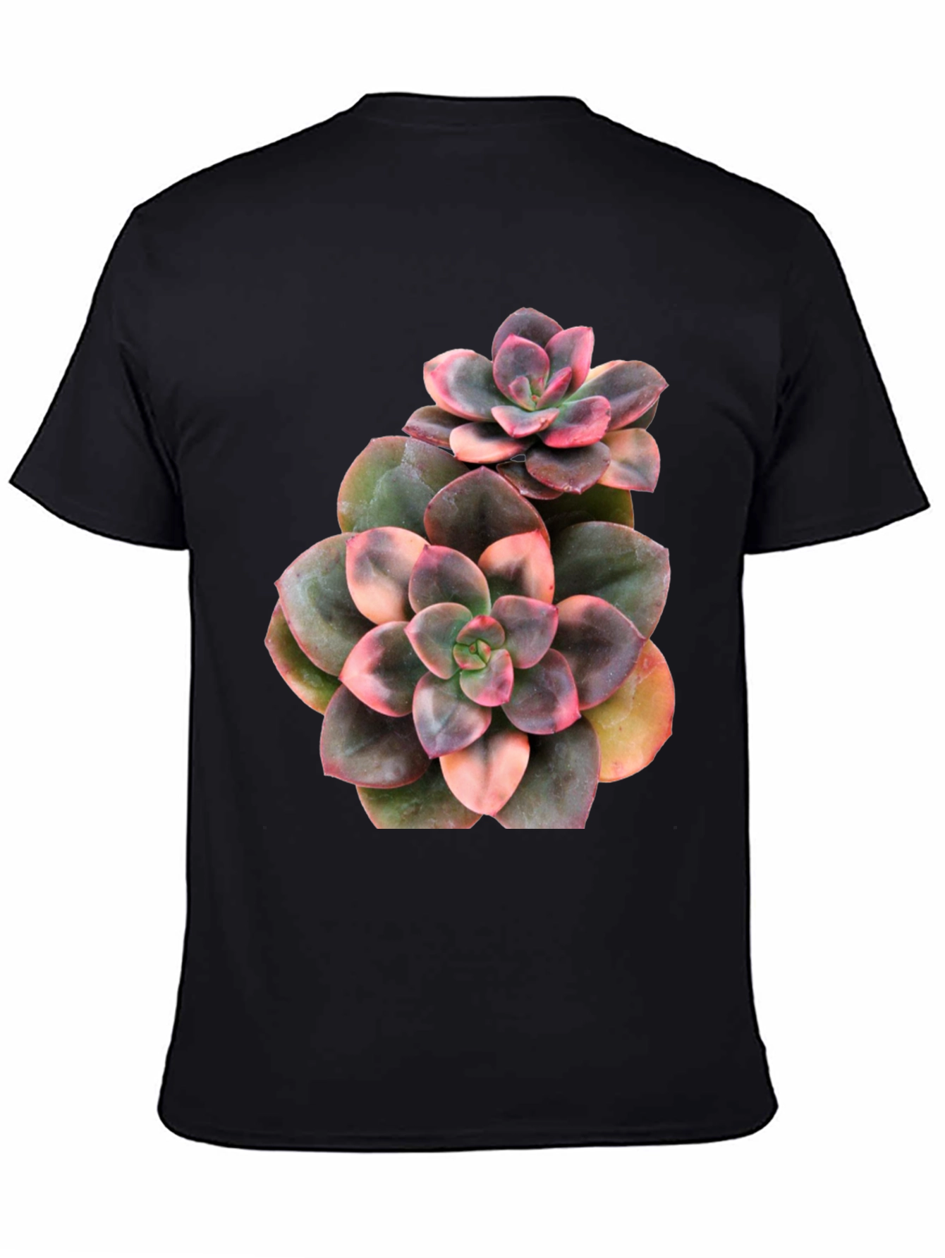 Succulent Plant Graphic Black T-Shirt