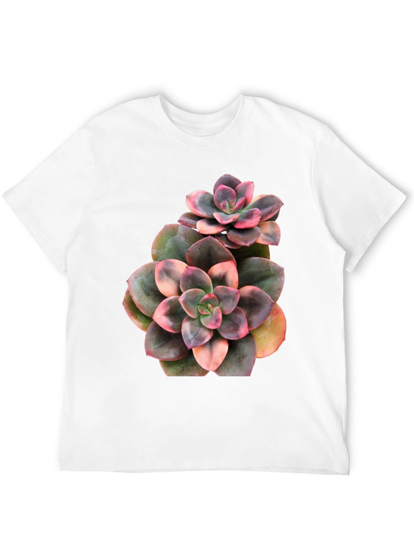 Succulent Plant Graphic Black T-Shirt
