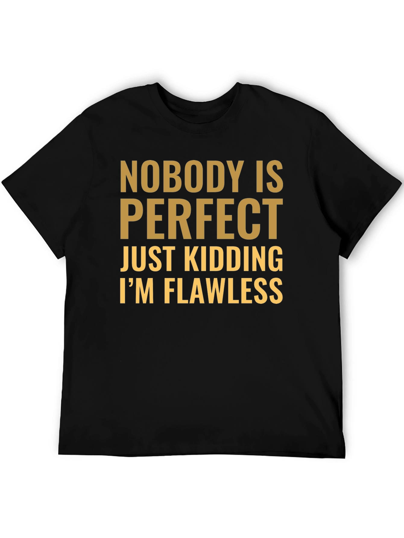 Funny Nobody is Perfect Graphic T-Shirt