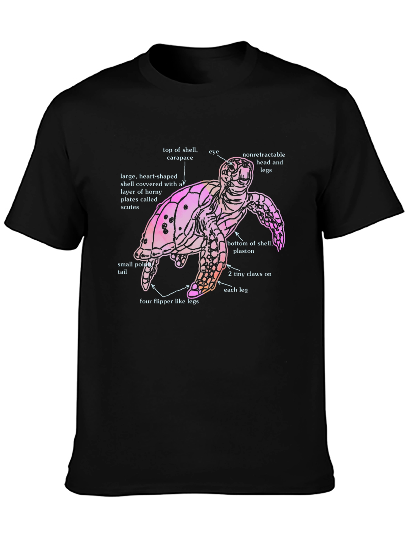 Anatomical Turtle Graphic T-Shirt