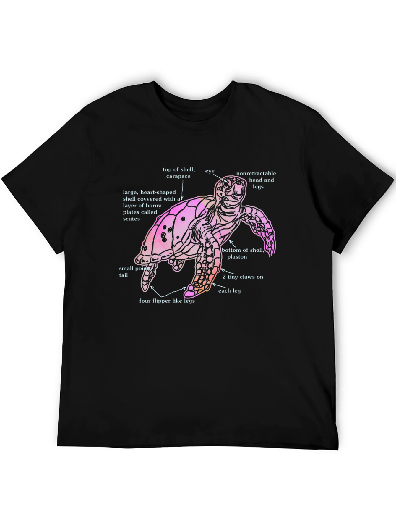 Anatomical Turtle Graphic T-Shirt