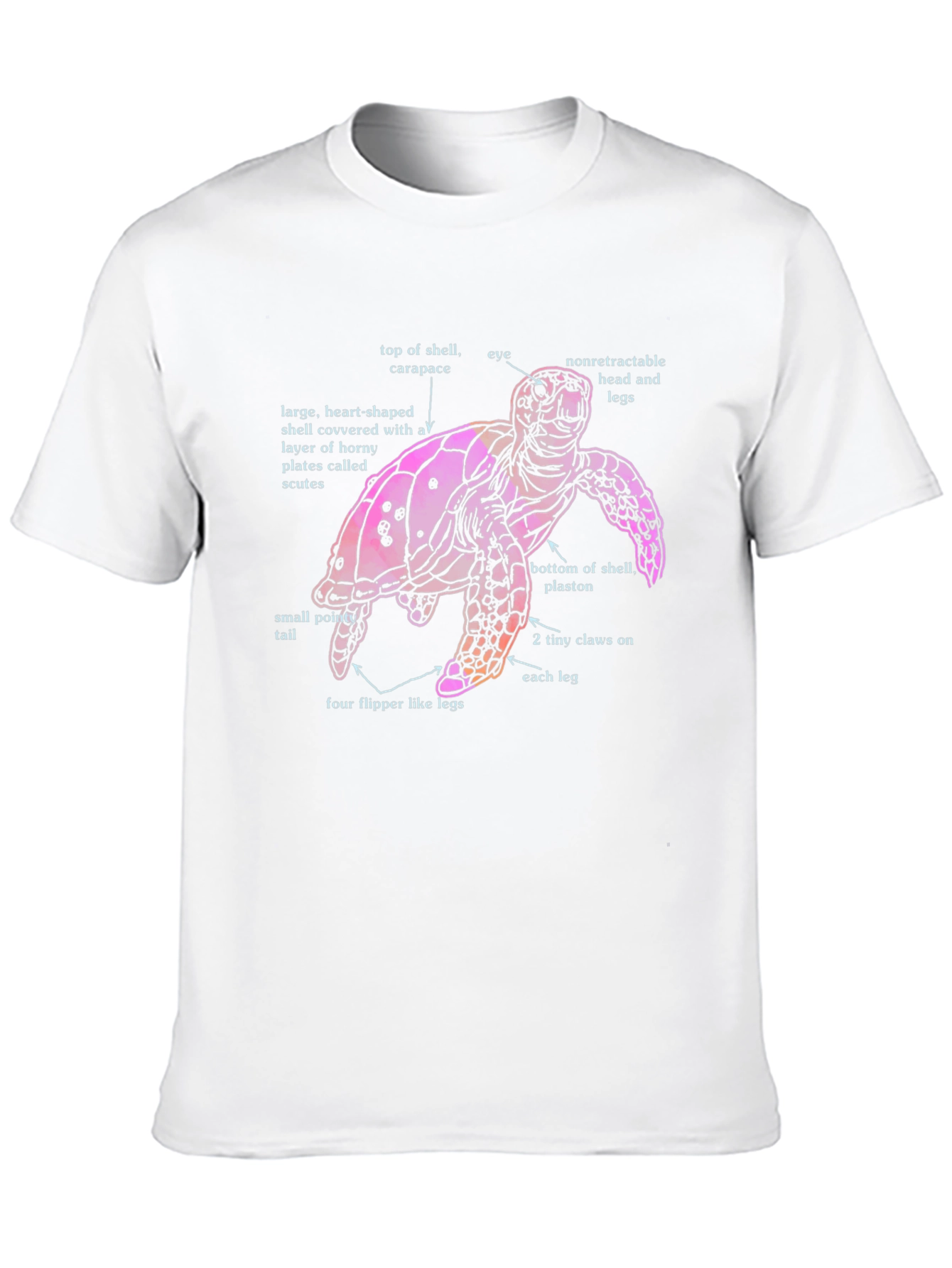 Anatomical Turtle Graphic T-Shirt